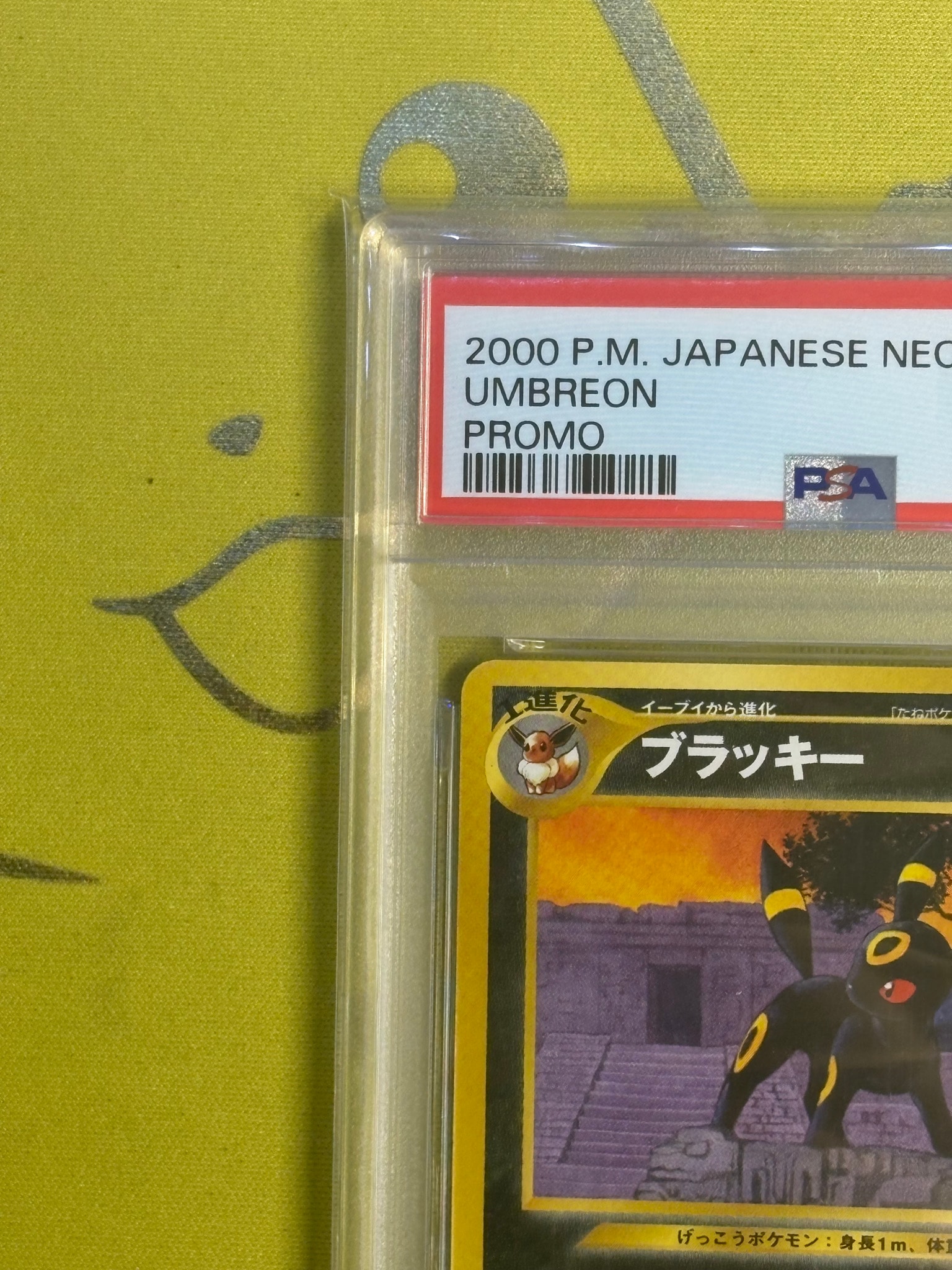 PSA8以下】ブラッキープレミアムファイル2: 旧裏[neoP2 No.197