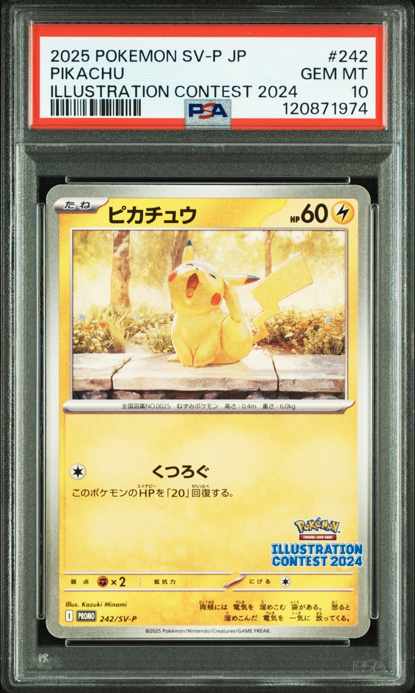 ピカチュウ [SV-P 242](プロモカードパック「イラストレーションコンテスト 2024 受賞作品プロモカード化記念キャンペーン」)