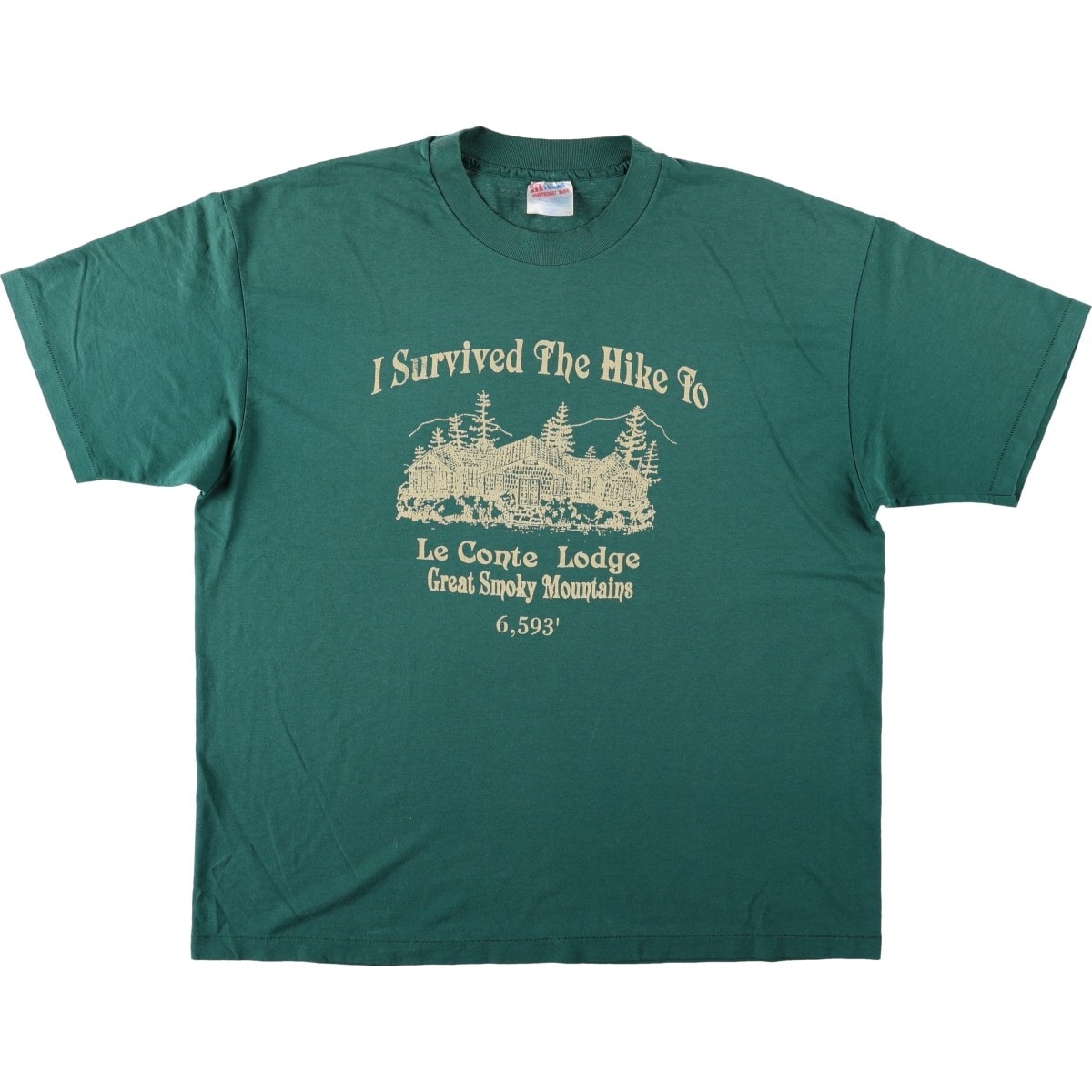 古着 90年代 ヘインズ Hanes Great Smoky プリントTシャツ USA製 メンズXL相当 ヴィンテージ/eaa642334