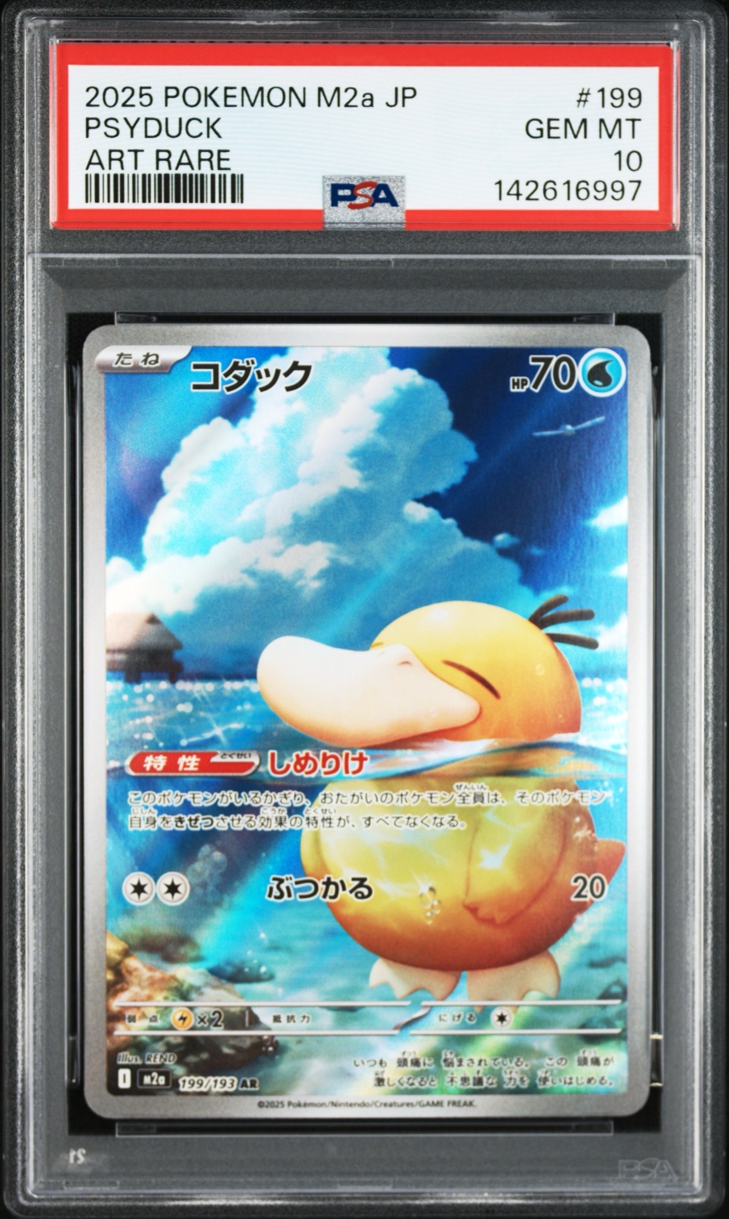 コダック AR [M2a 199/193](ハイクラスパック「MEGAドリームex」)