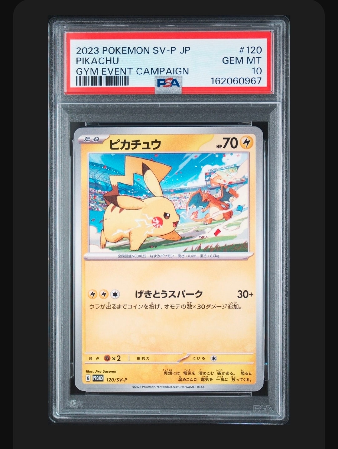 ピカチュウ: プロモ [SV-P 120](プロモーションカード「SV-P」)