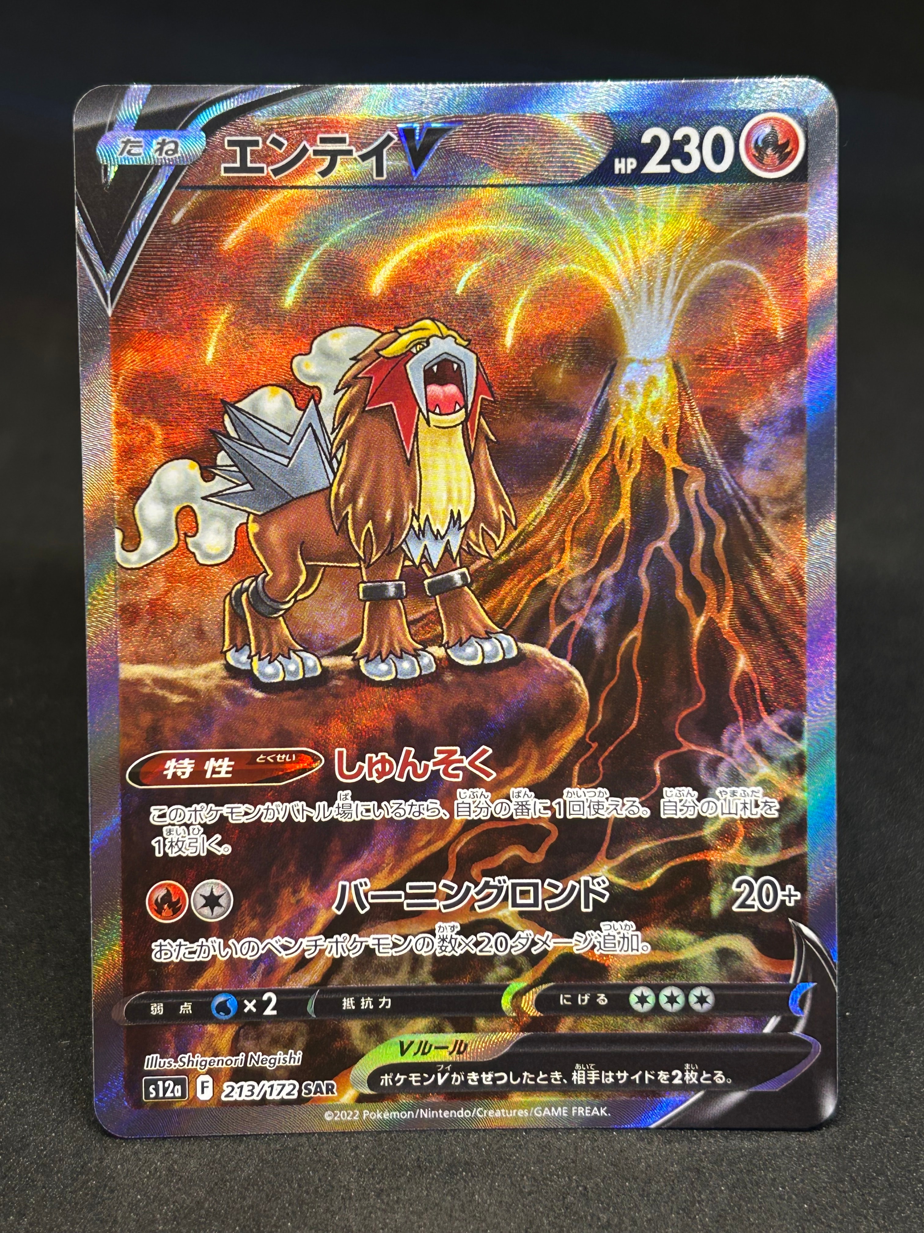 エンテイV SAR[s12a 213/172](ハイクラスパック「VSTARユニバース」)