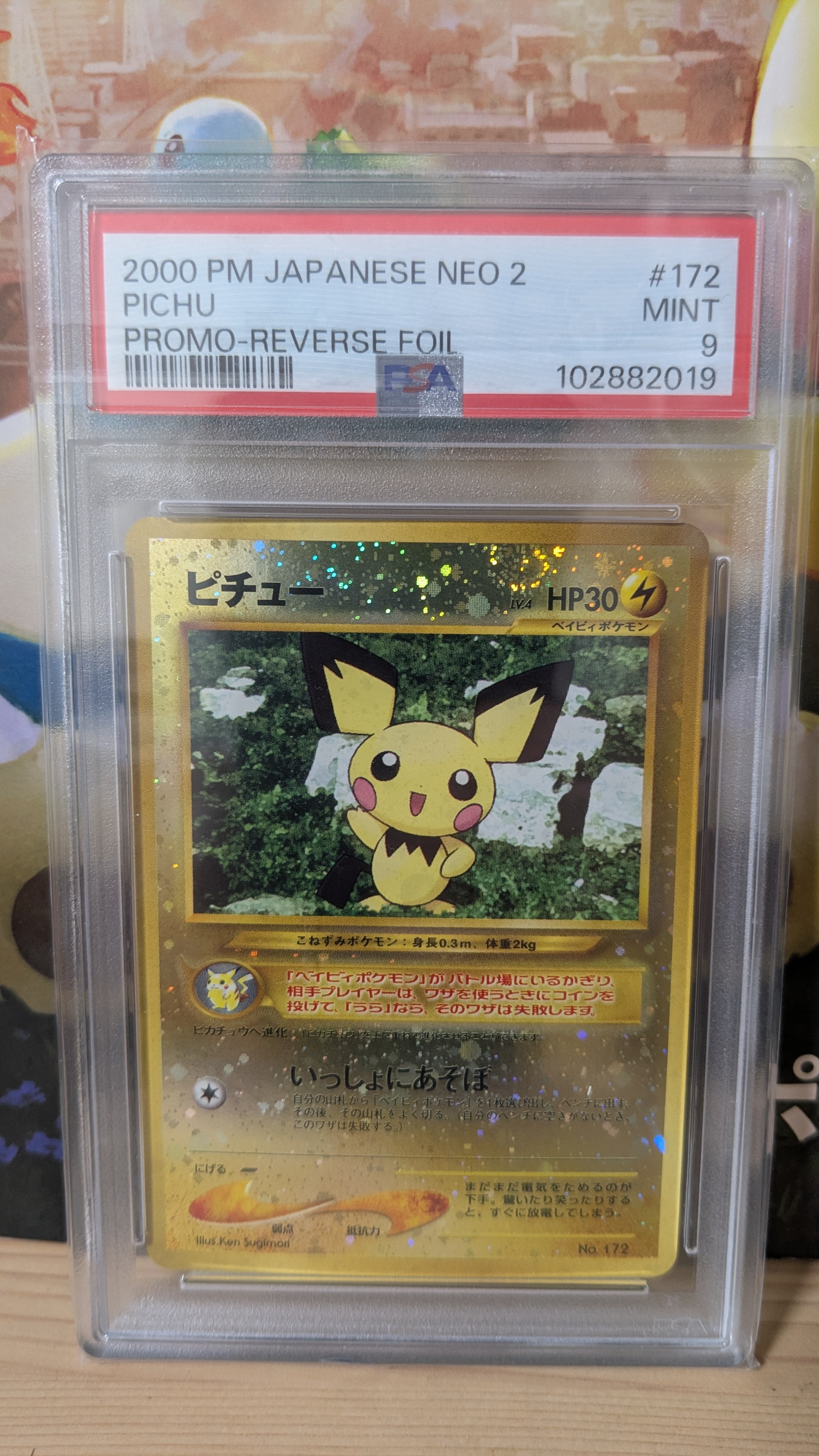 状態C】ピチュープレミアムファイル2: 旧裏[neoP2 No.172](プレミアム