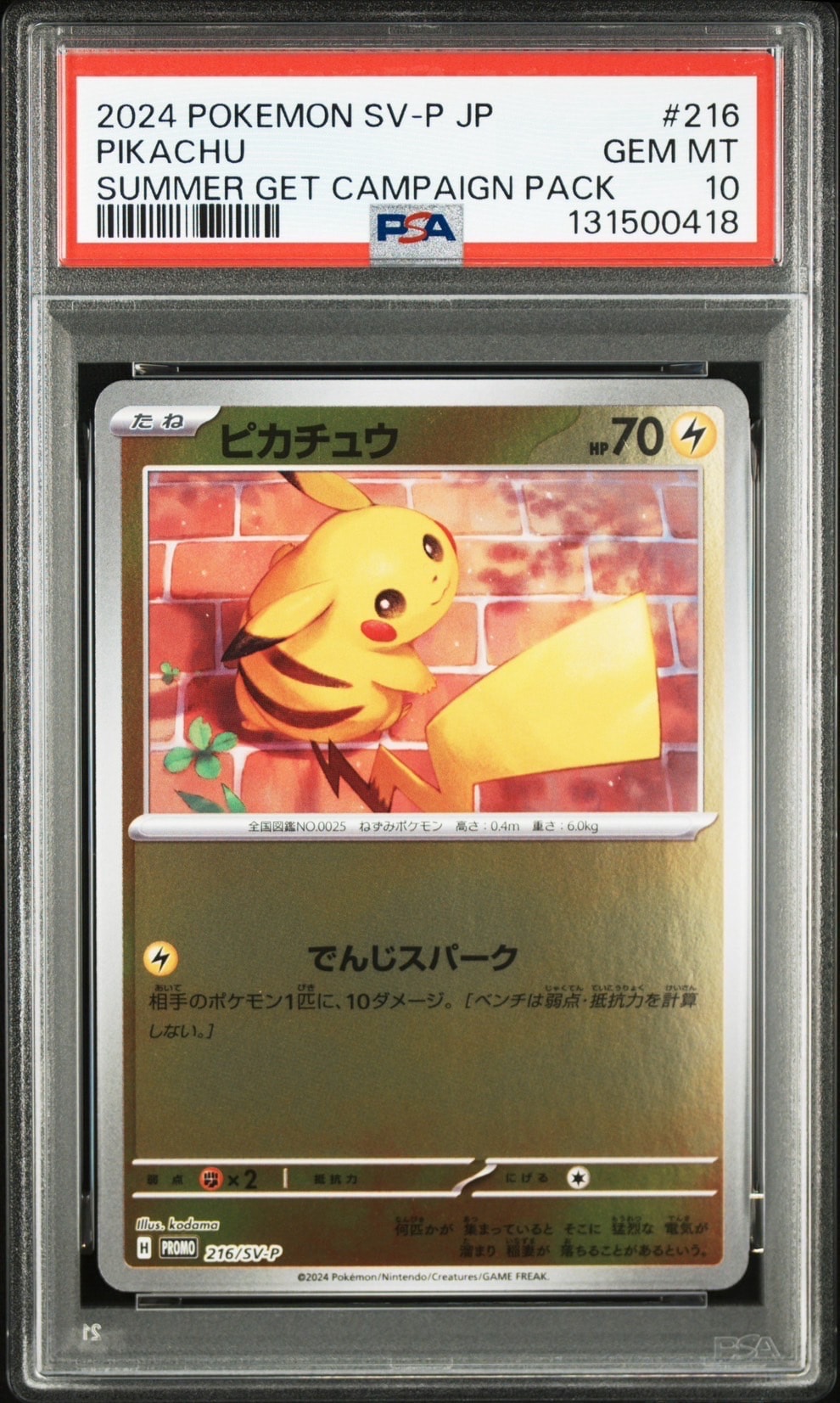 ピカチュウ P [SV-P 216](プロモカードパック「ポケカの夏がキタ!プロモカードGetキャンペーン!」)