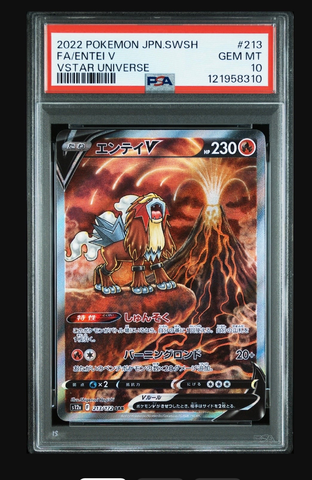 エンテイV SAR[s12a 213/172](ハイクラスパック「VSTARユニバース」)