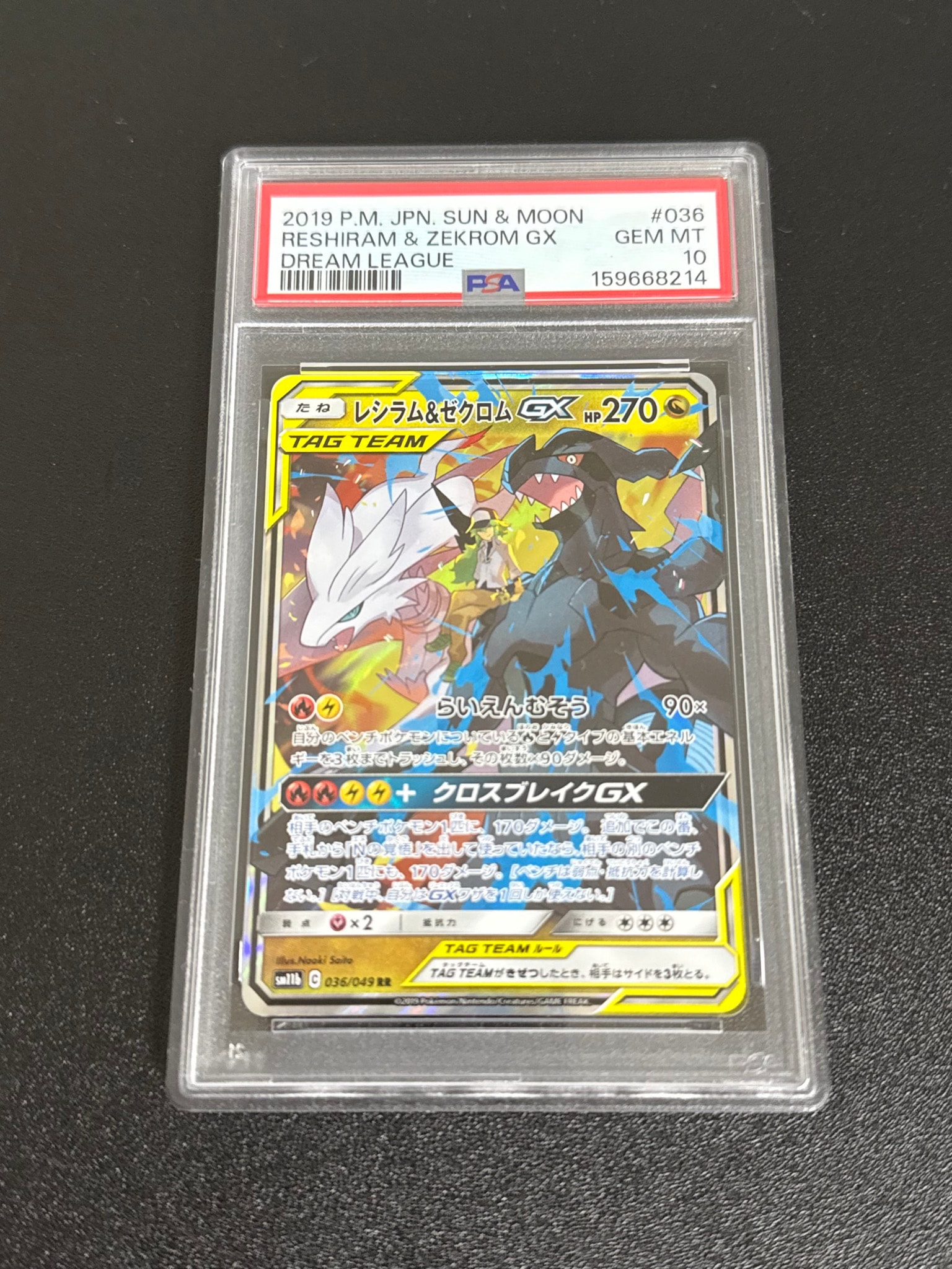 レシラム&ゼクロムGX (N) RR[SM11b 036/049](強化拡張パック「ドリームリーグ」)