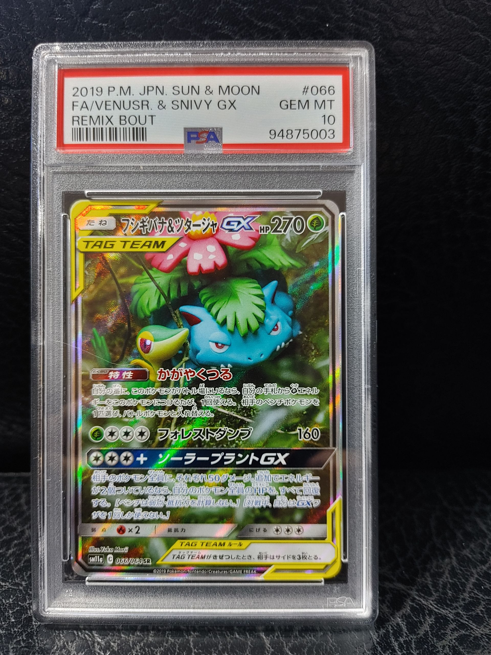 フシギバナ&ツタージャGX SR: SA[SM11a 066/064](強化拡張パック「リミックスバウト」)