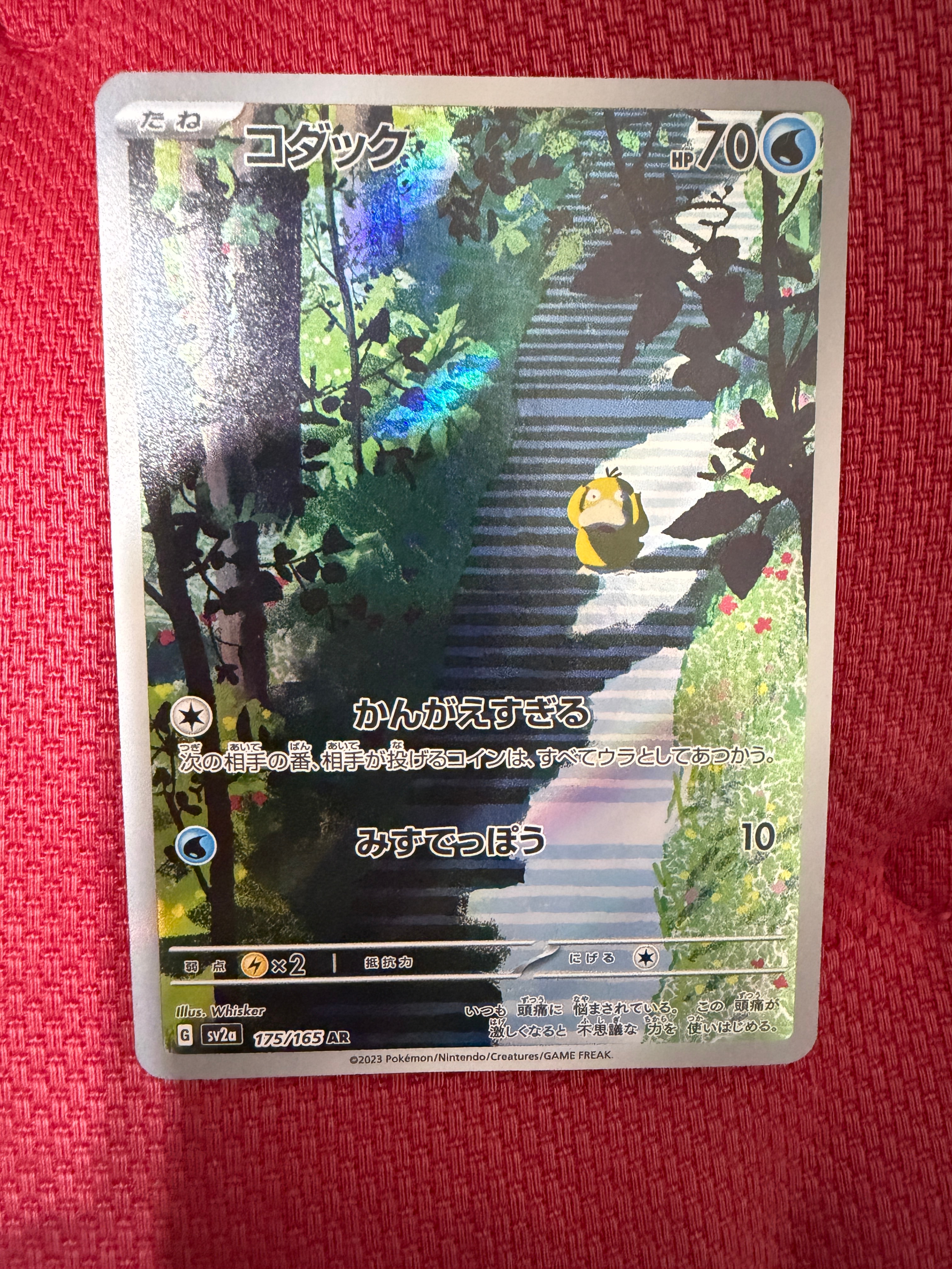 PSA10】おいわいファンファーレ: プロモ[S-P 254](プロモーション