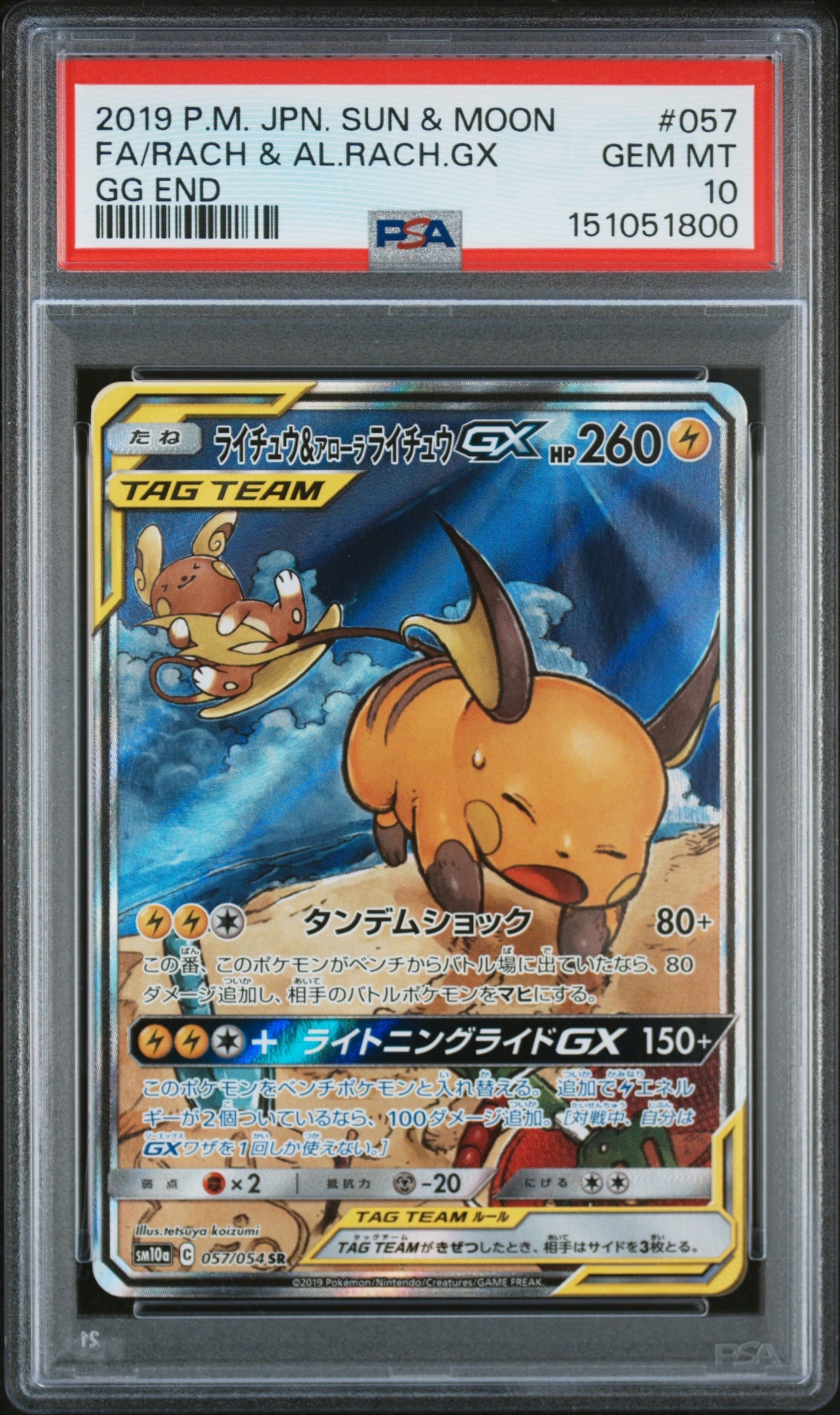 ピカチュウ: バトルフェスタ2015プロモ[XY-P 175/XY-P](プロモーション