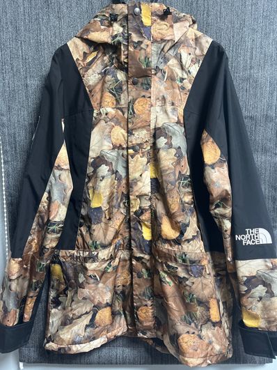 Supreme x The North Face Leaves Mountain Light Jacket "Leaves"
