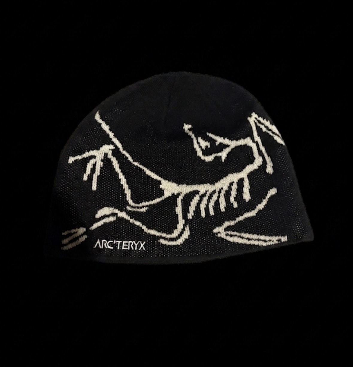 ARC'TERYX Bird Head Toque 