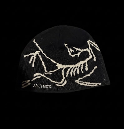 ARC'TERYX Bird Head Toque "Orca"