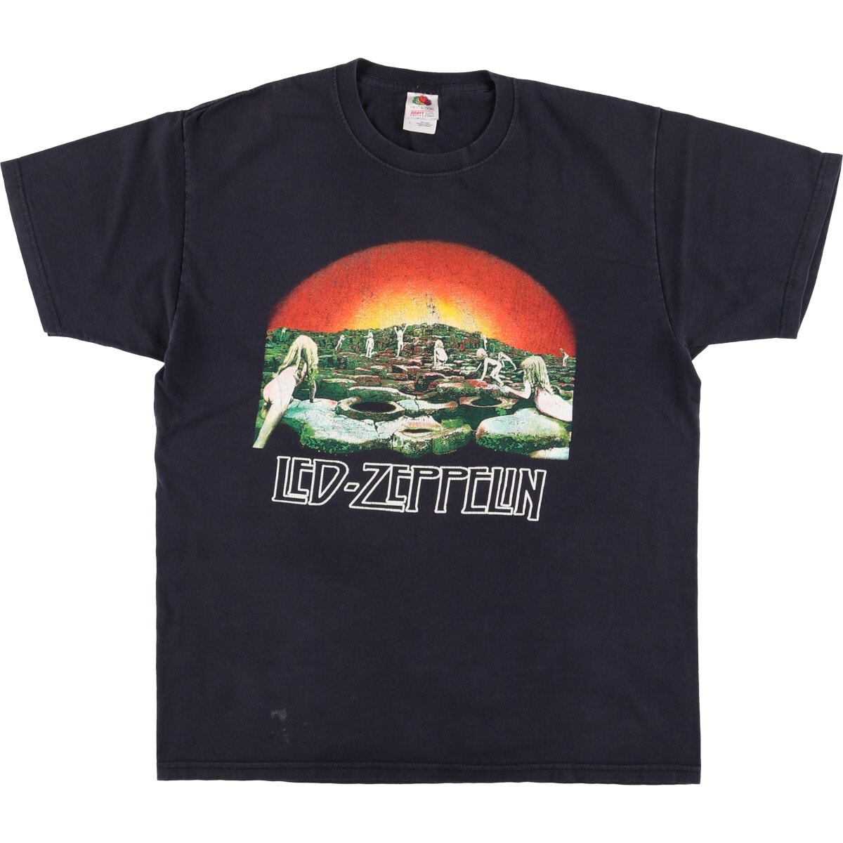 古着 フルーツオブザルーム FRUIT OF THE LOOM LED ZEPPELIN レッドツェッペリン バンドTシャツ バンT メンズL相当/eaa558678