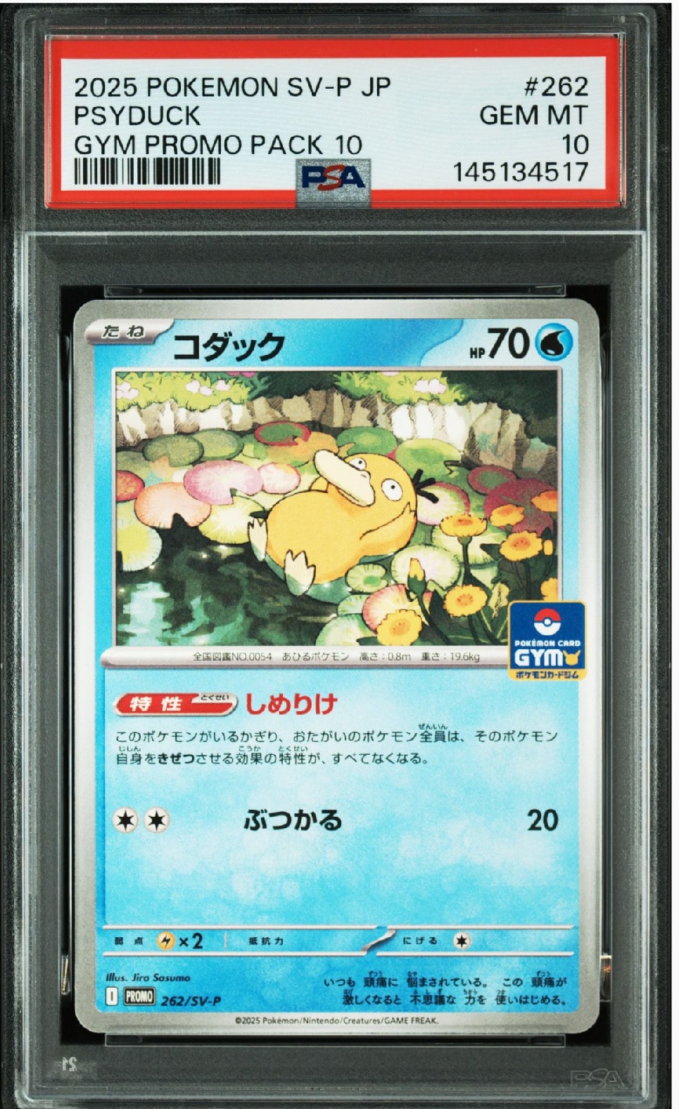 コダック P [SV-P 262](プロモカードパック「第10弾」)の新品/中古