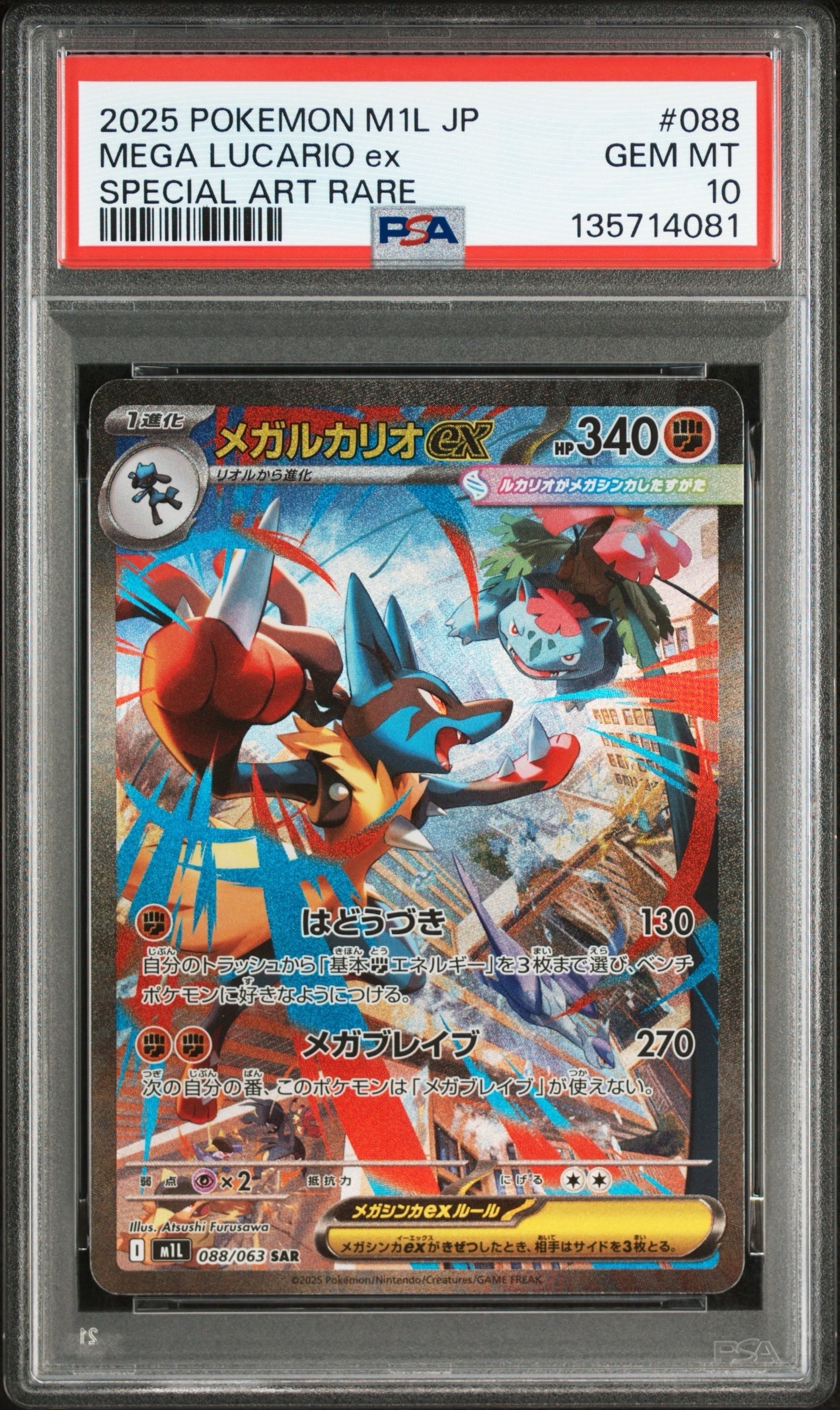 フウロ: プロモ[XY-P 164/XY-P](プロモーションカード「XY-P」)の新品