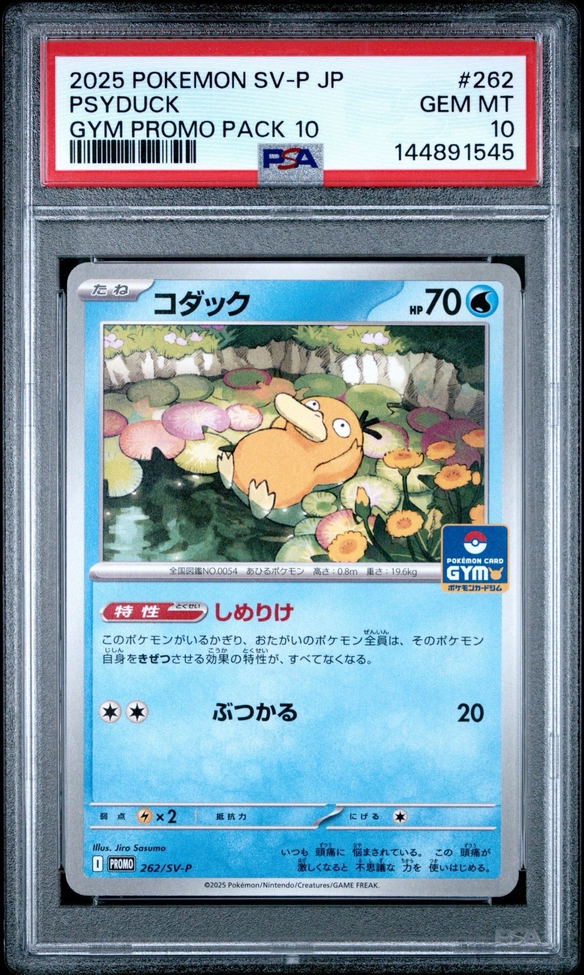 PSA10】コダック P [SV-P 262](プロモカードパック「第10弾」) 1枚の