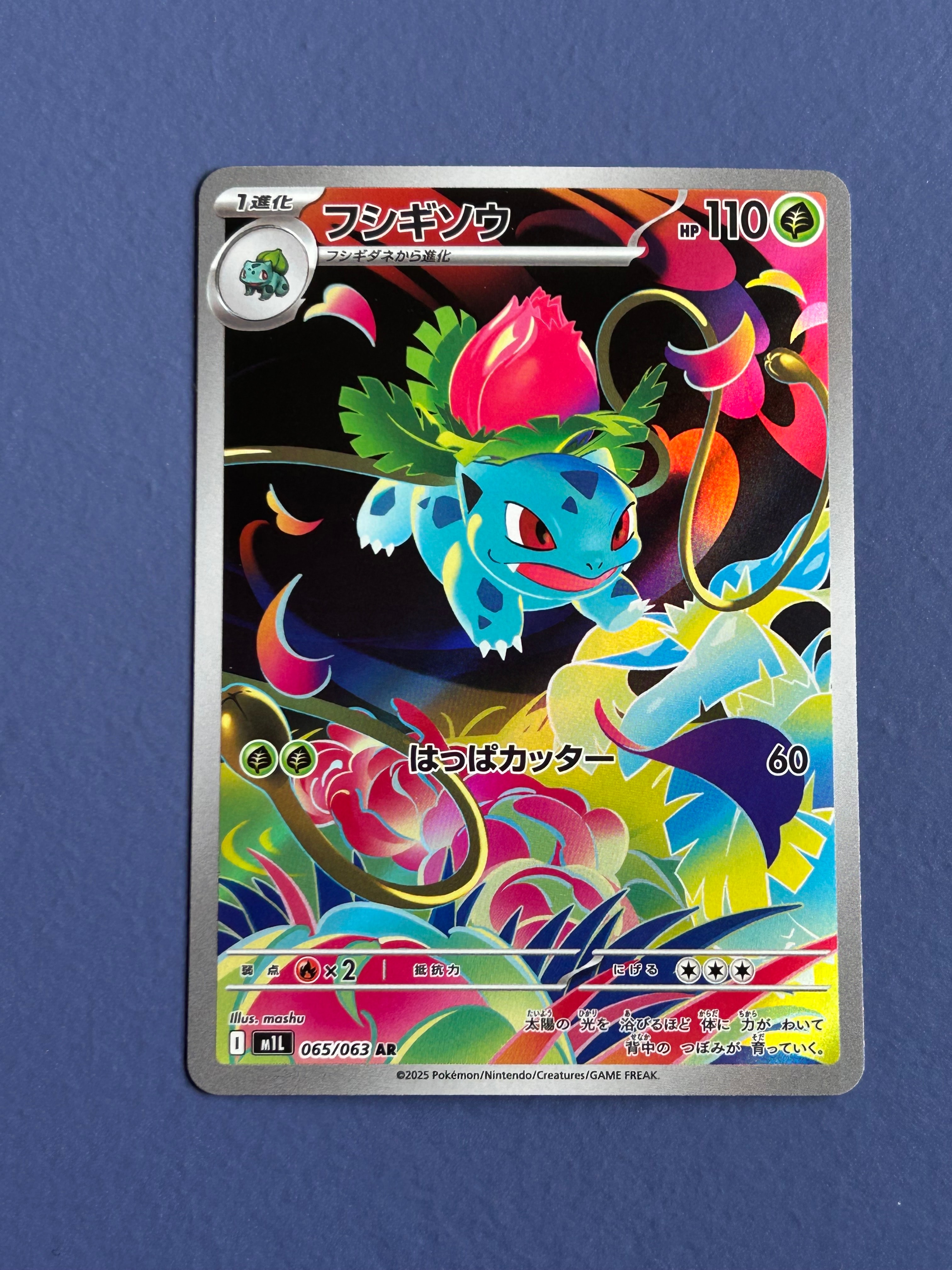 フシギソウ AR PSA10 M1L 065/063 Ivysaur PSA10鑑定済〕フシギソウ【AR】{065/063}