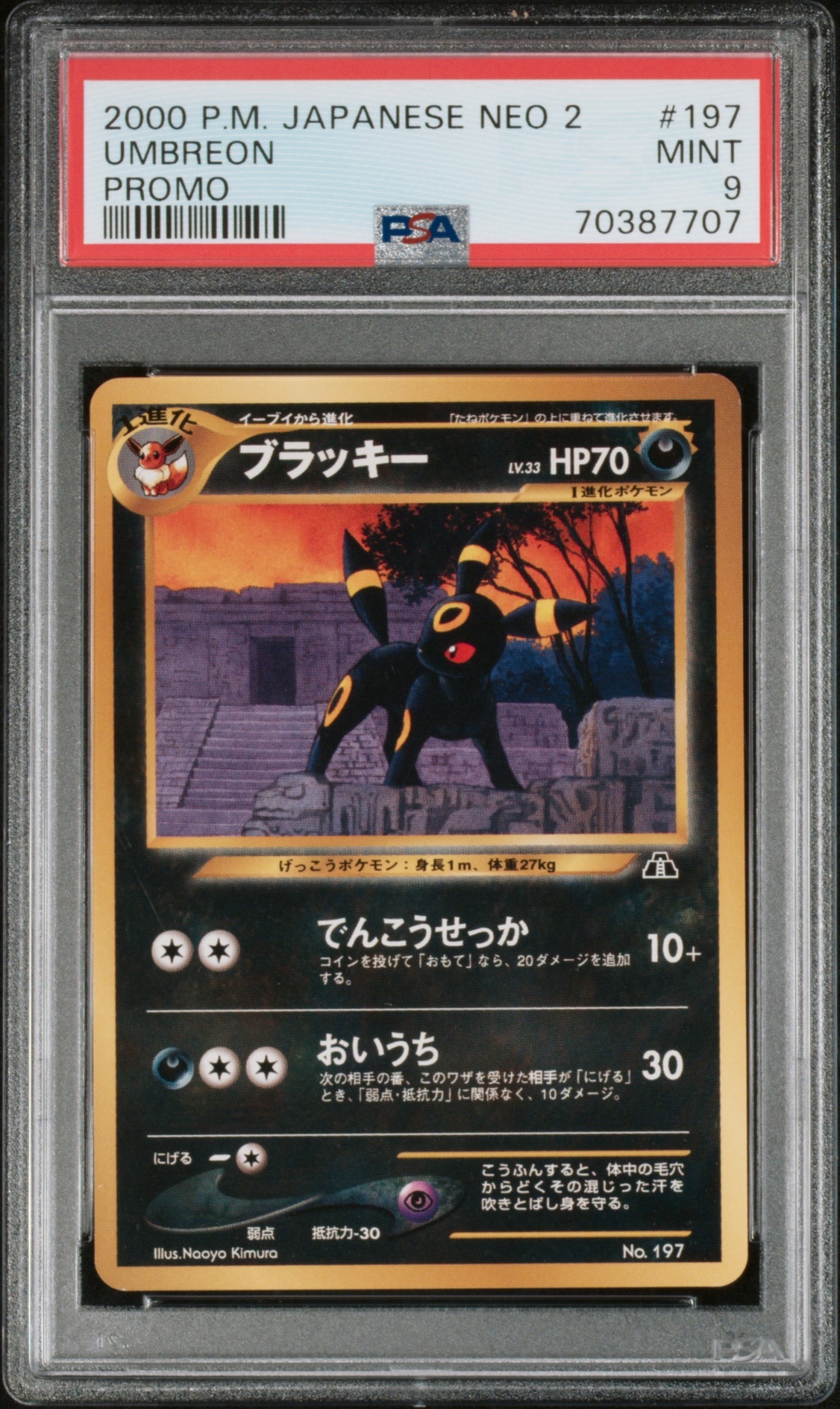 ブラッキープレミアムファイル2: 旧裏[neoP2 No.197](プレミアムファイル2)