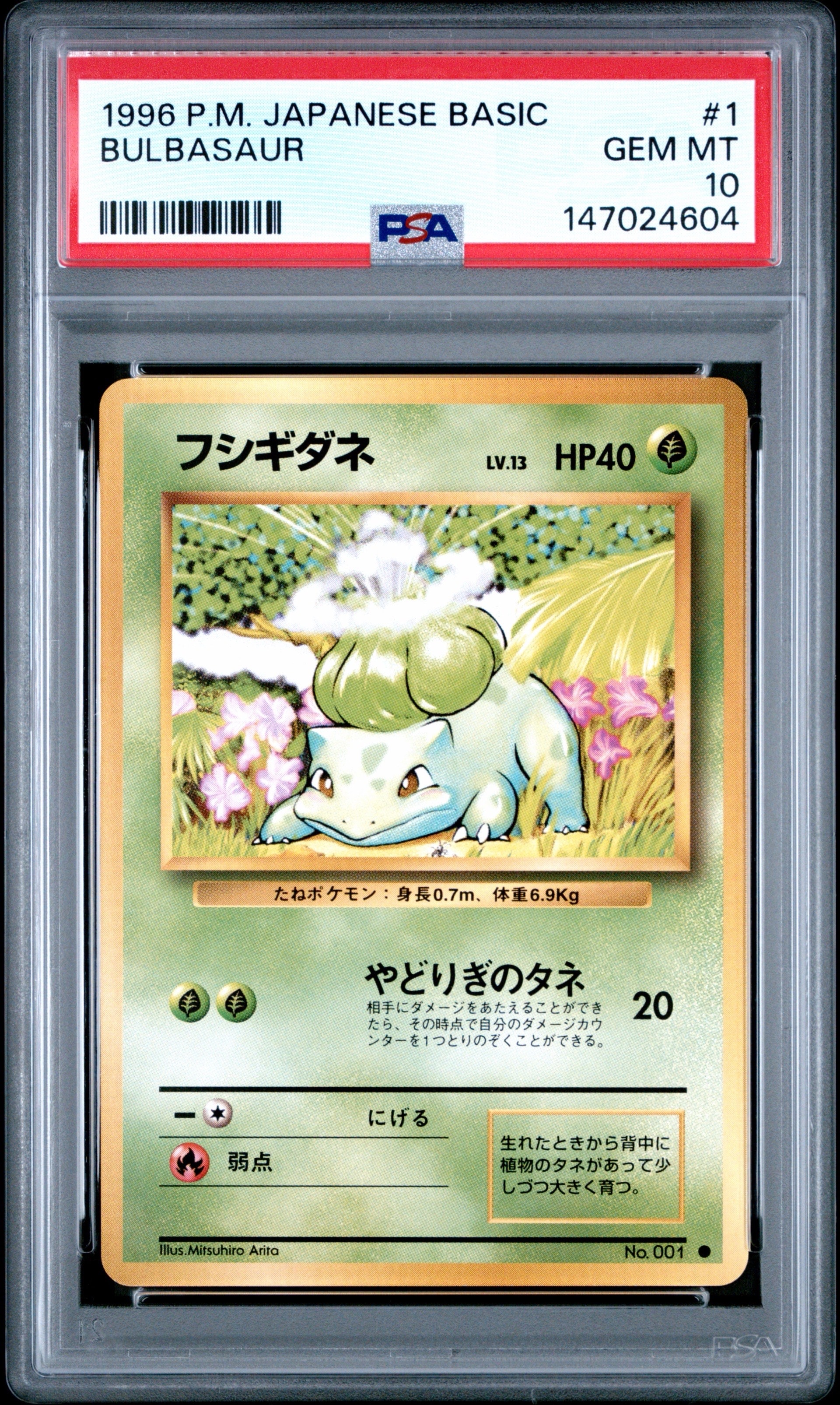 フシギダネ ● : 旧裏 [PMCG1-2](拡張パック「ポケットモンスター カードゲーム」再販)