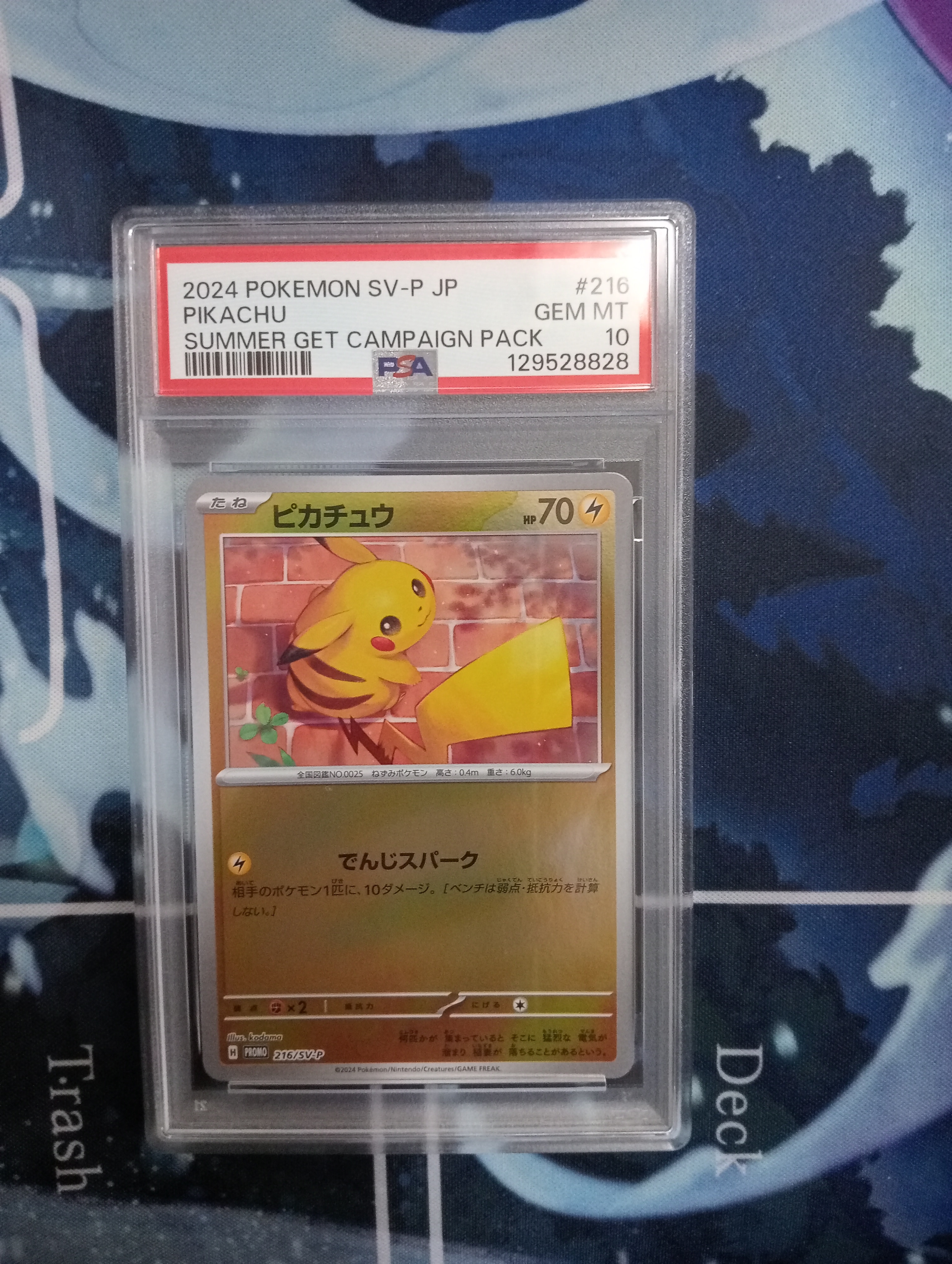 PSA9】ピカチュウ P [SV-P 216](プロモカードパック「ポケカの夏がキタ