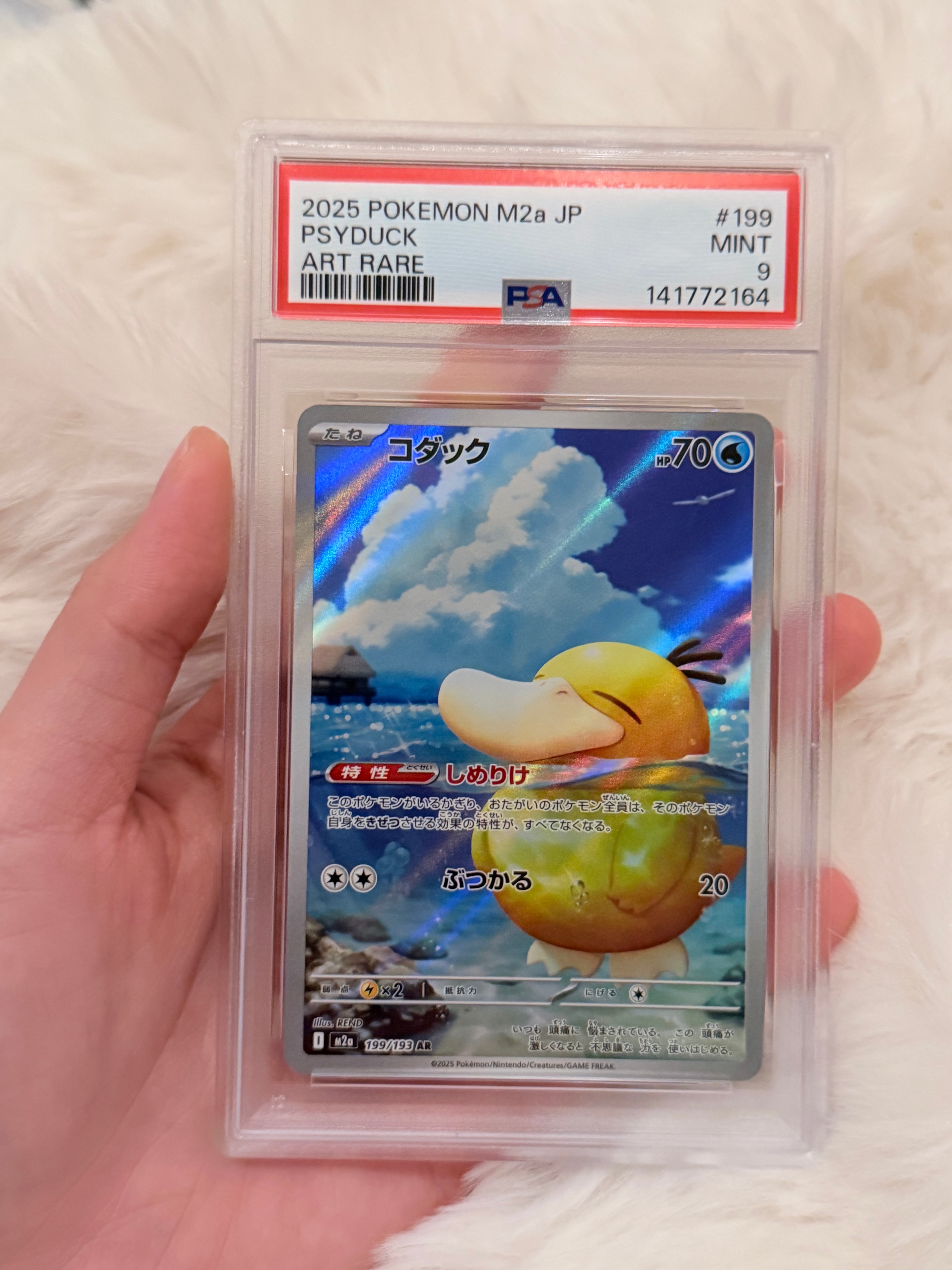 コダック AR [M2a 199/193](ハイクラスパック「MEGAドリームex」)