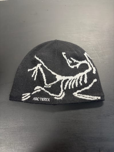ARC'TERYX Bird Head Toque "Orca"