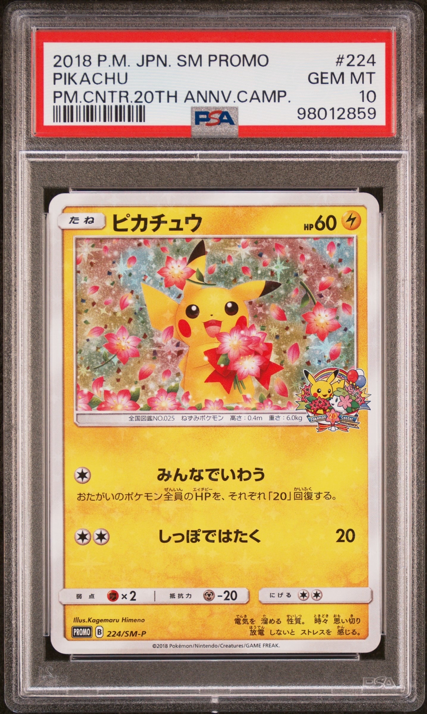 ピカチュウ: プロモ[SM-P 224](プロモーションカード「SM-P」)の新品