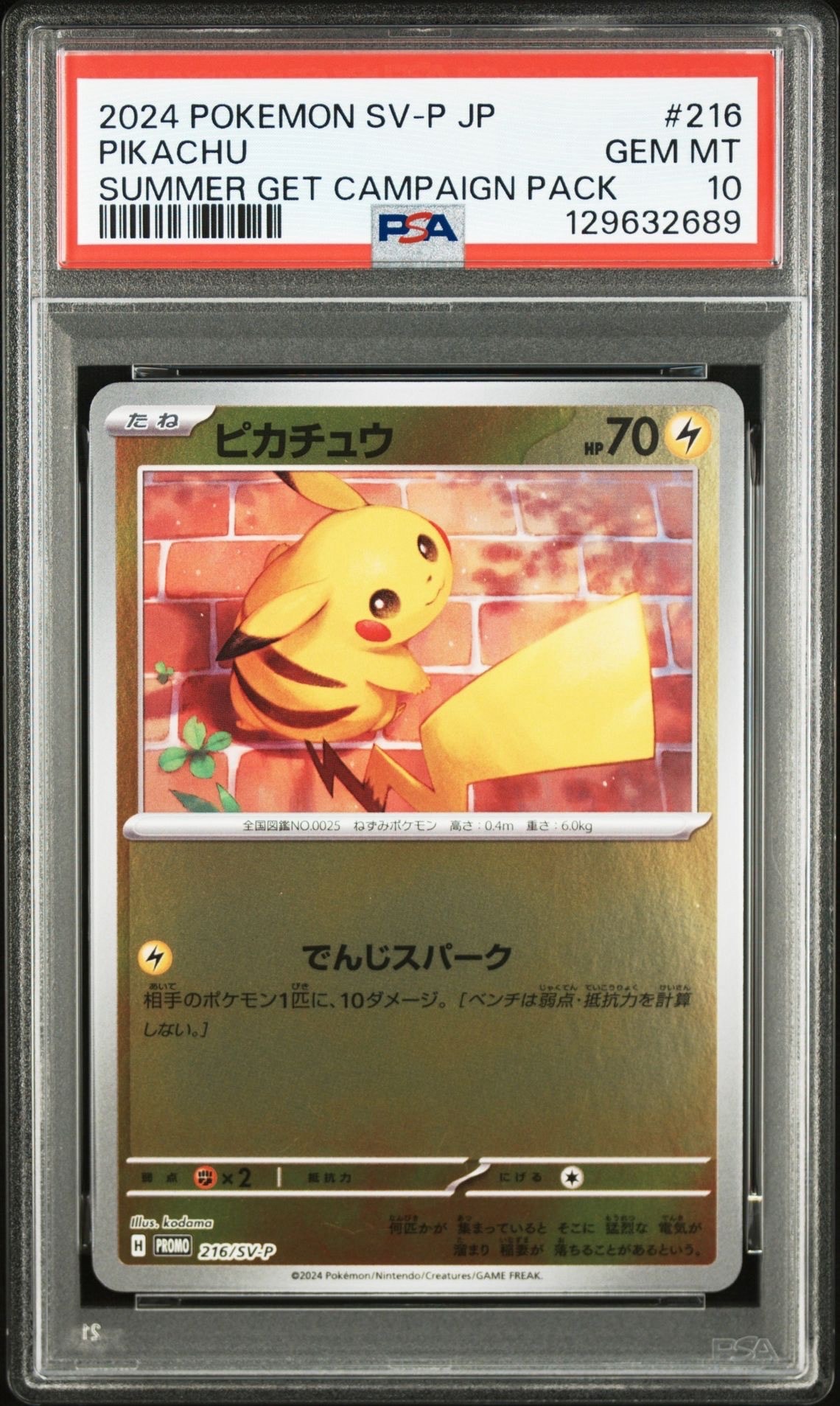 ピカチュウ P [SV-P 216](プロモカードパック「ポケカの夏がキタ!プロモカードGetキャンペーン!」)