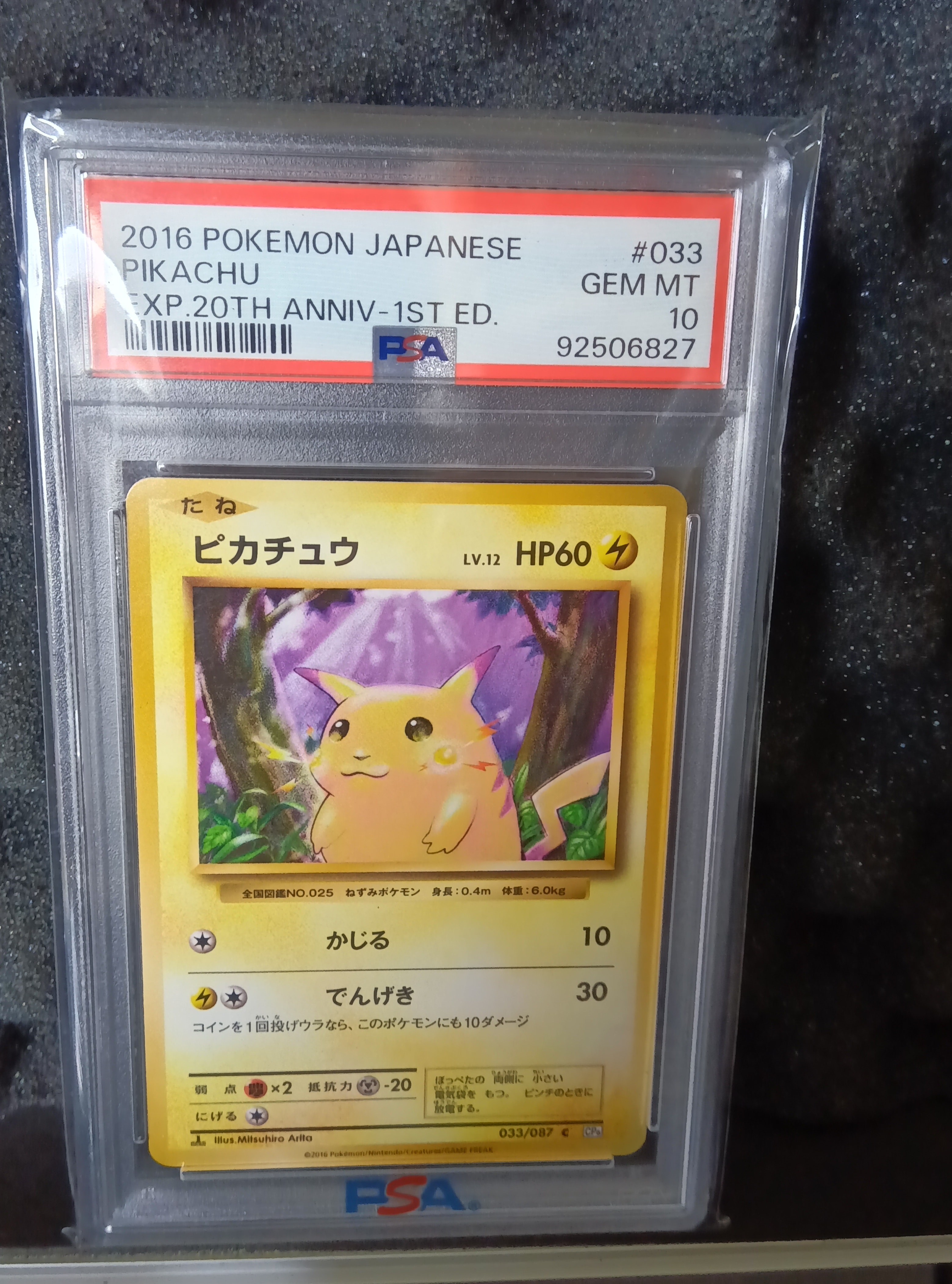 ピカチュウ C :1ED [CP6 033/087](コンセプトパック「ポケットモンスターカードゲーム 拡張パック 20th Anniversary」)
