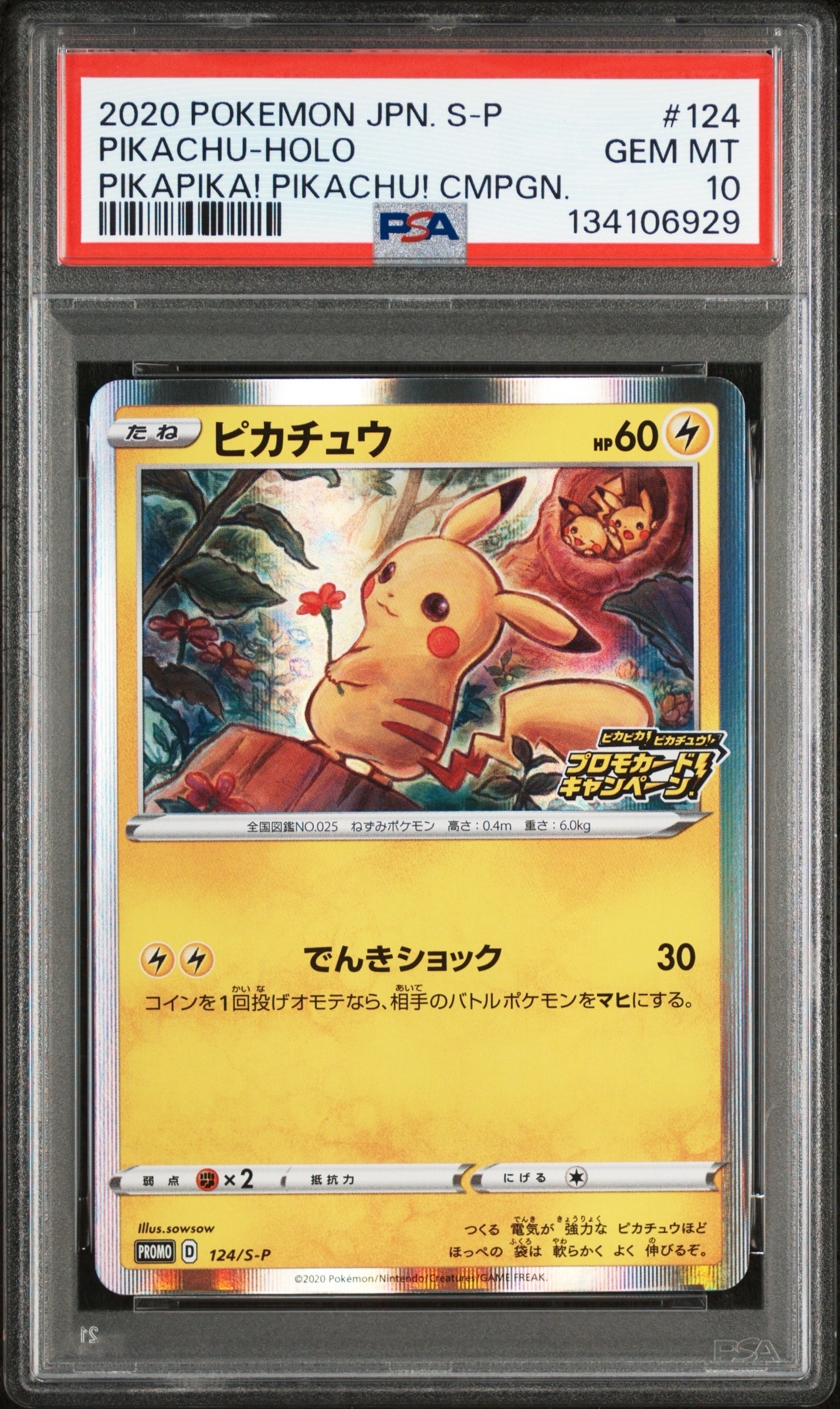 ピカチュウ: プロモ P [S-P 124](ピカピカ!ピカチュウ!プロモカードキャンペーン)