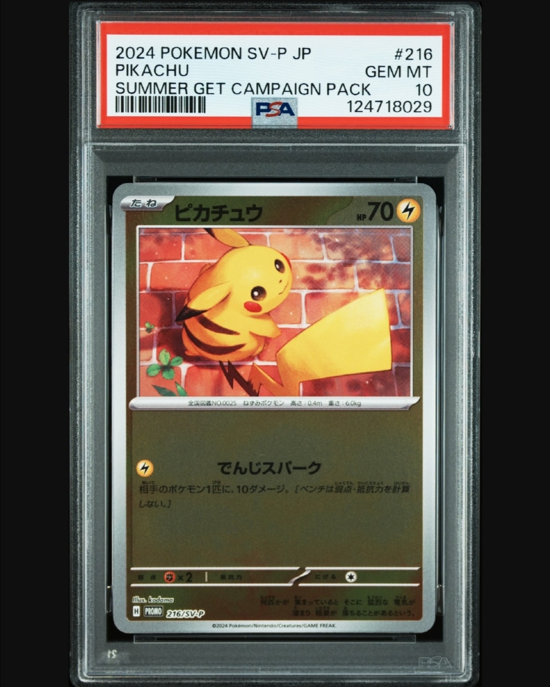 ピカチュウ P [SV-P 216](プロモカードパック「ポケカの夏がキタ!プロモカードGetキャンペーン!」)