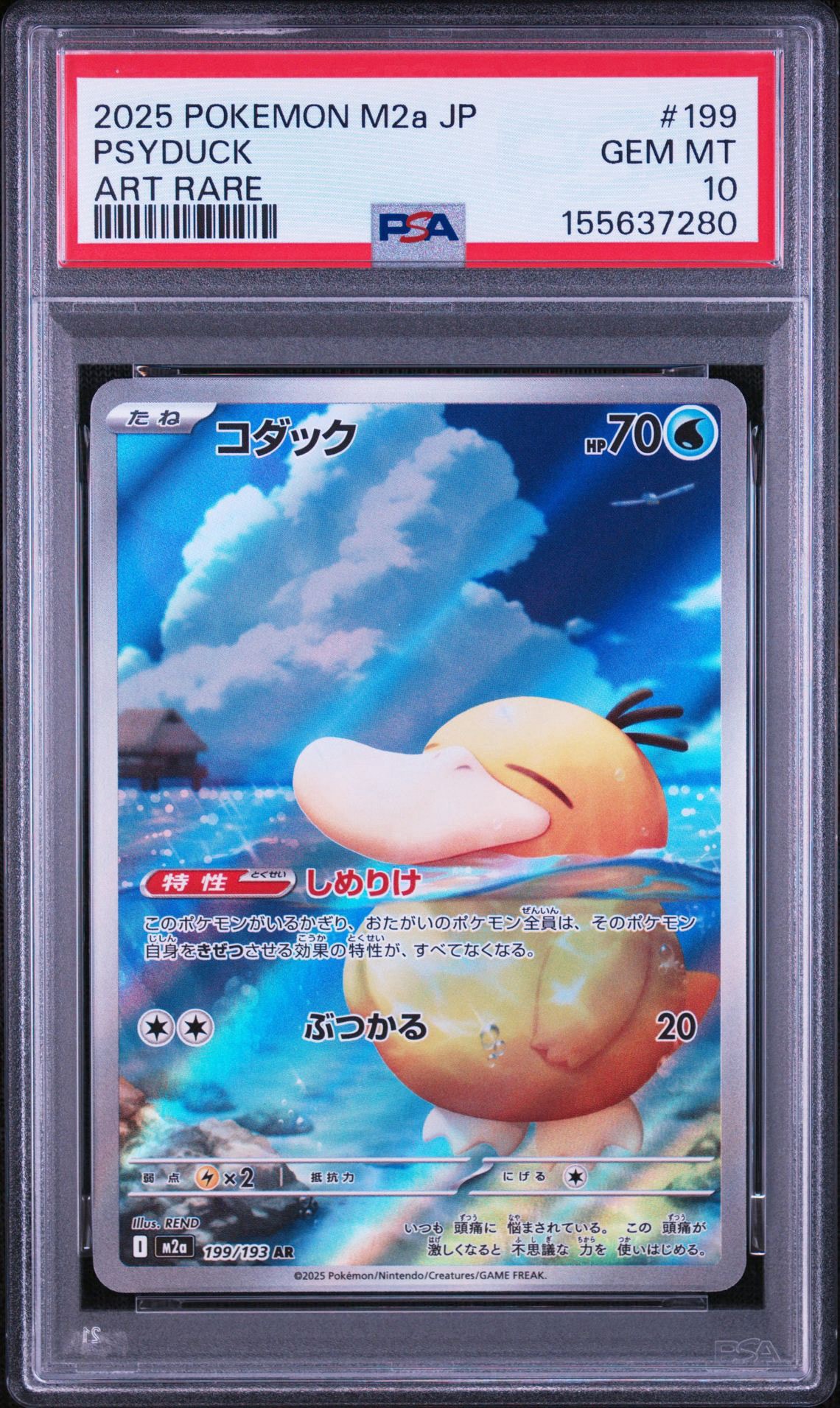 コダック AR [M2a 199/193](ハイクラスパック「MEGAドリームex」)