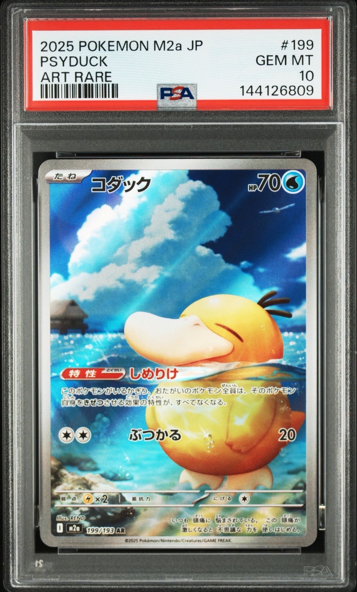 コダック AR [M2a 199/193](ハイクラスパック「MEGAドリームex」)