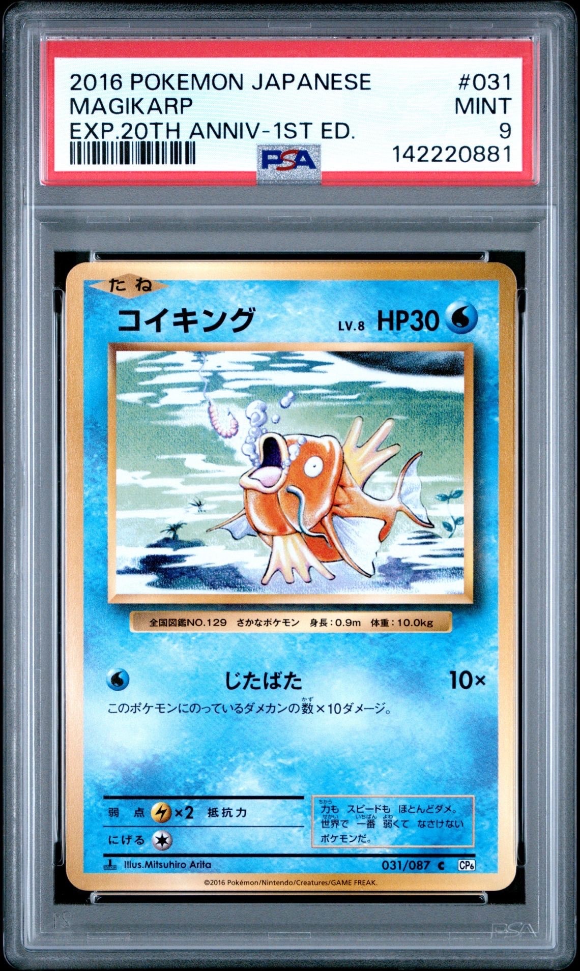コイキング C :1ED [CP6 031/087](コンセプトパック「ポケットモンスターカードゲーム 拡張パック 20th Anniversary」)