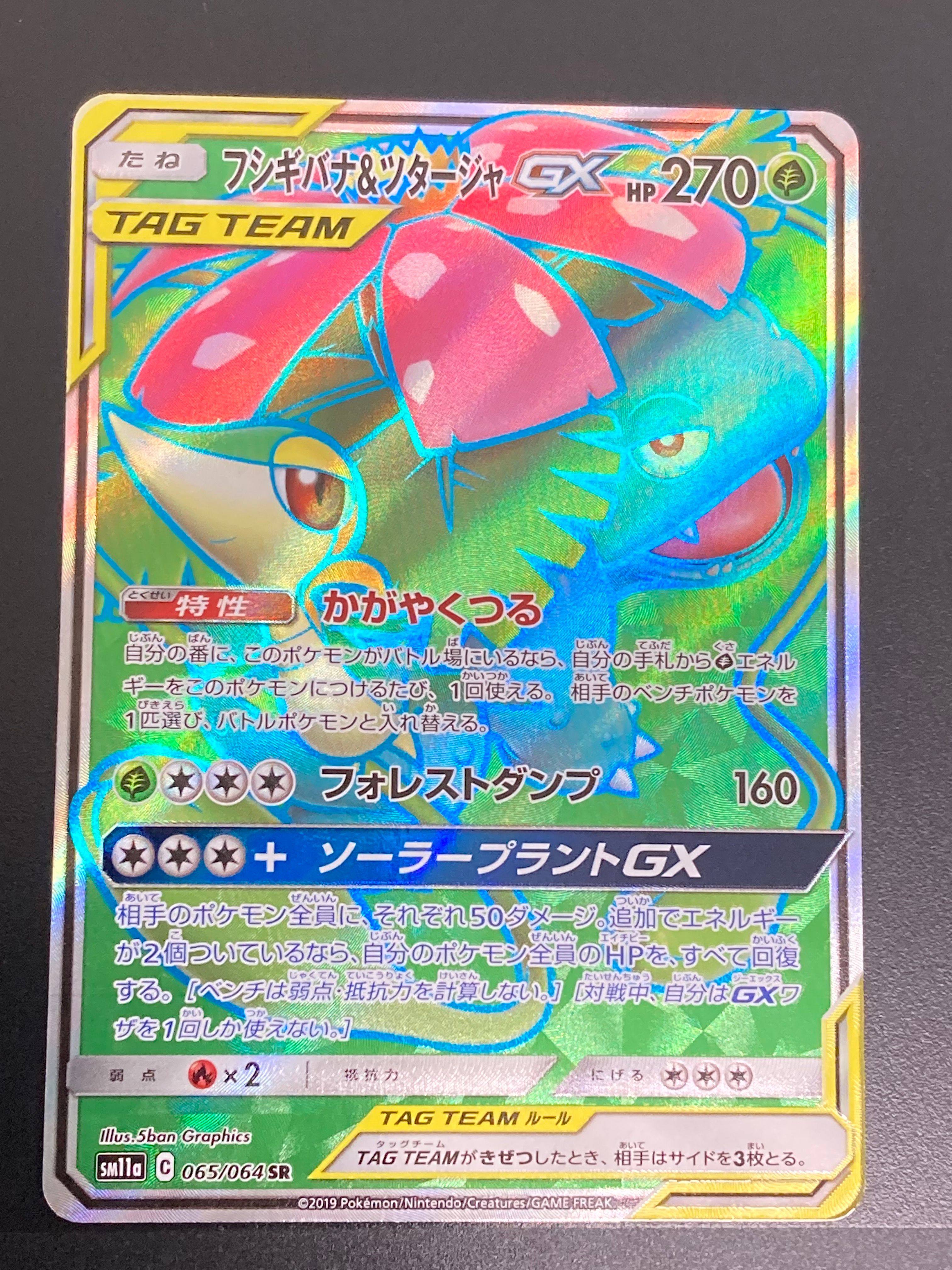 フシギバナ&ツタージャGX SR[SM11a 065/064](強化拡張パック「リミックスバウト」)
