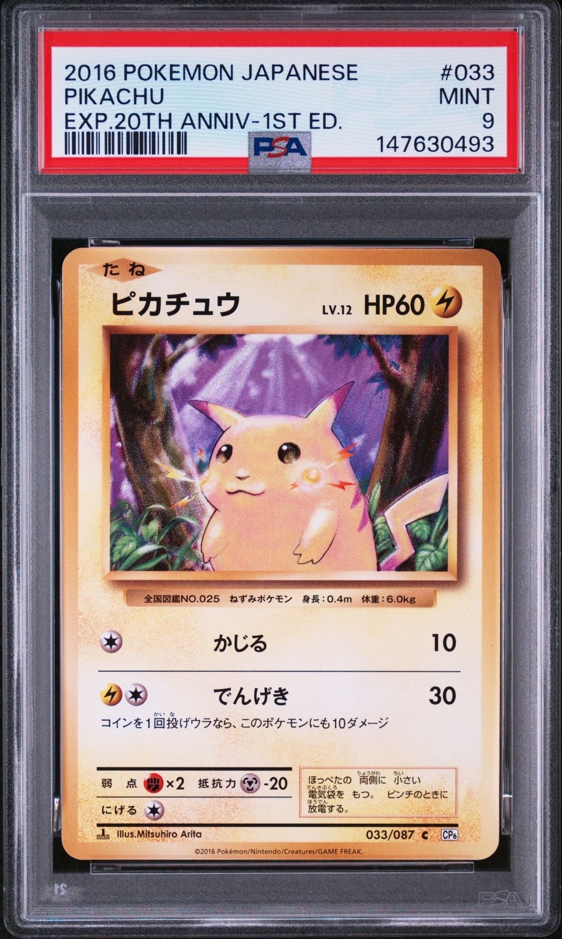 ピカチュウ C :1ED [CP6 033/087](コンセプトパック「ポケットモンスターカードゲーム 拡張パック 20th Anniversary」)