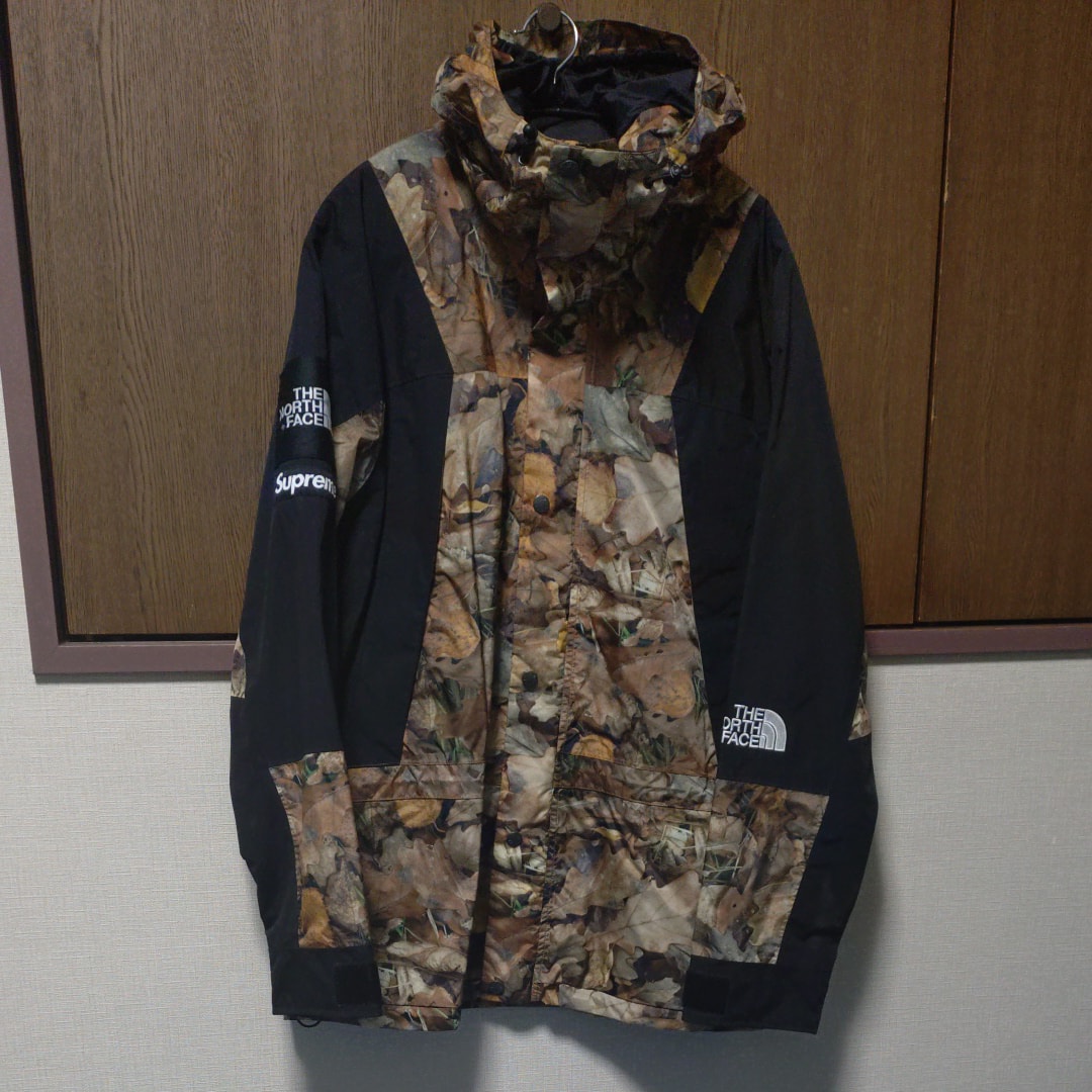 Supreme x The North Face Leaves Mountain Light Jacket 