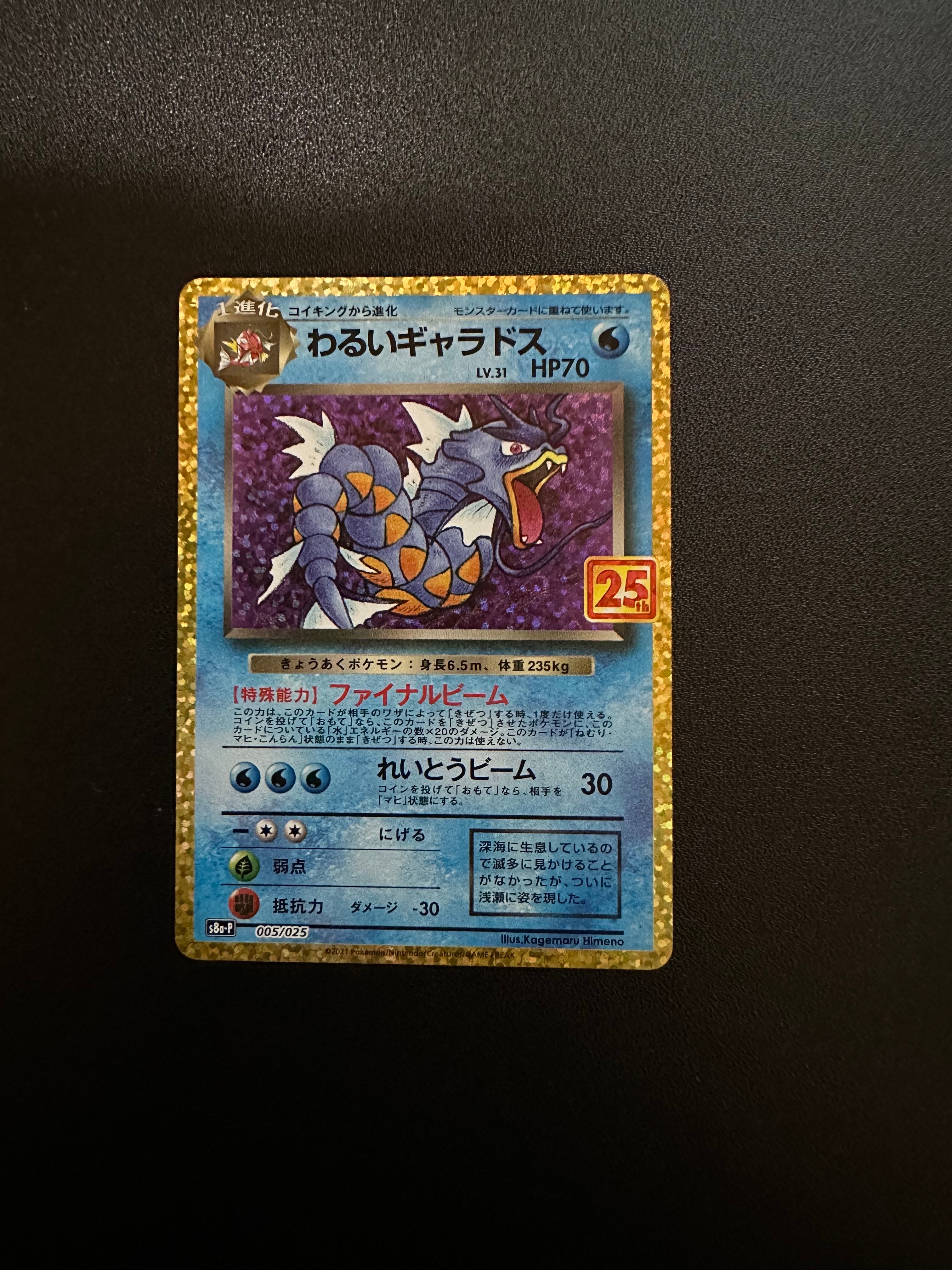 わるいギャラドス: プロモ[S8a-P 005/025](プロモカードパック 25th