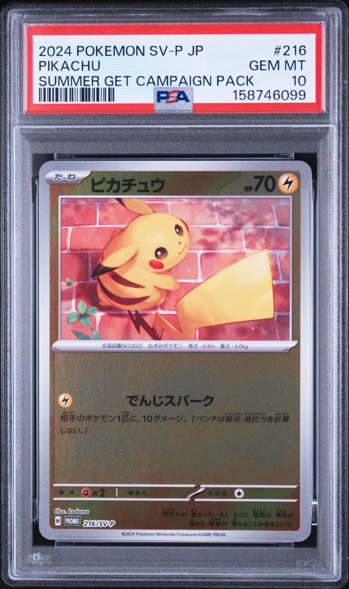 ピカチュウ P [SV-P 216](プロモカードパック「ポケカの夏がキタ!プロモカードGetキャンペーン!」)
