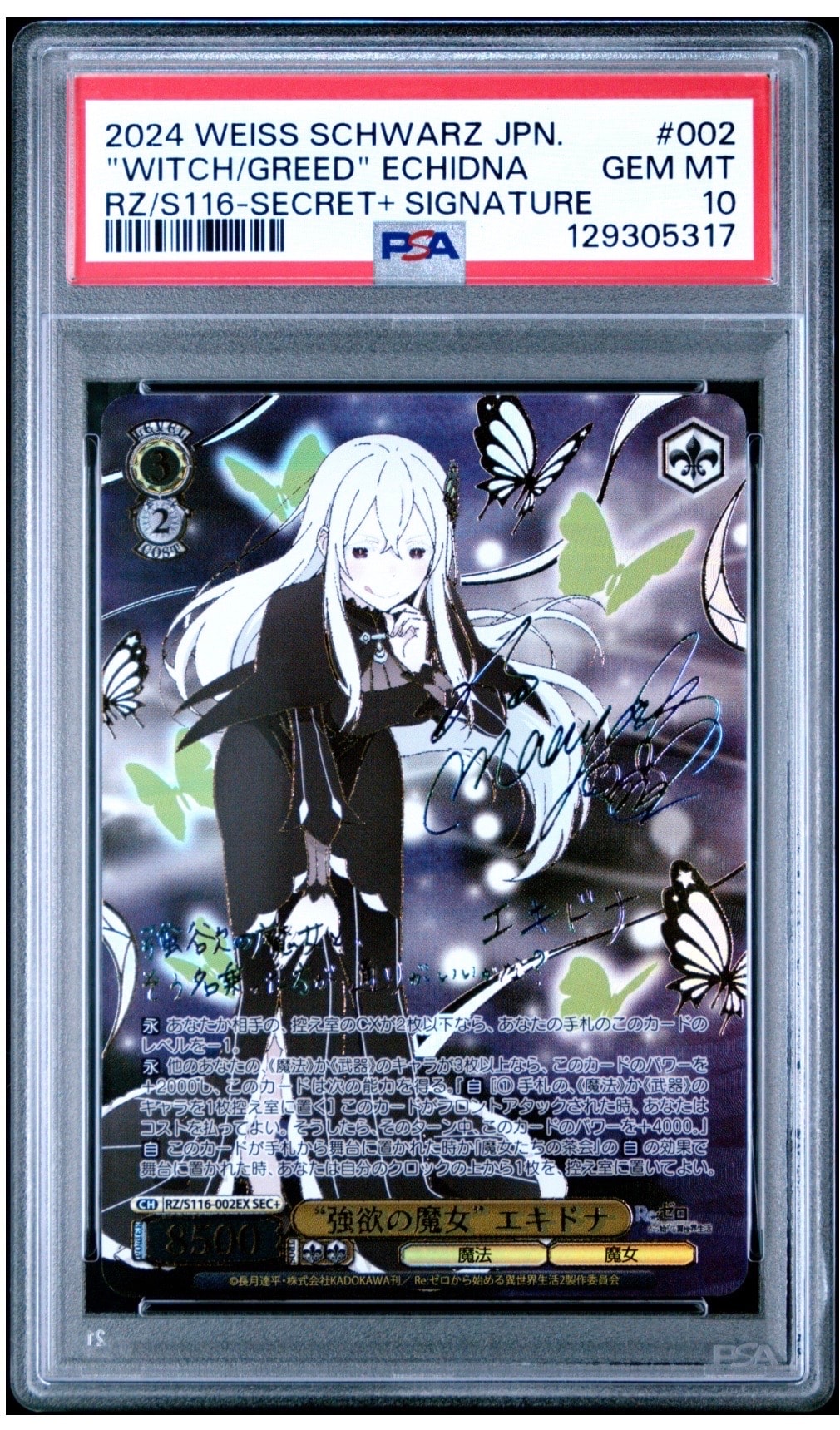 ロネスネス