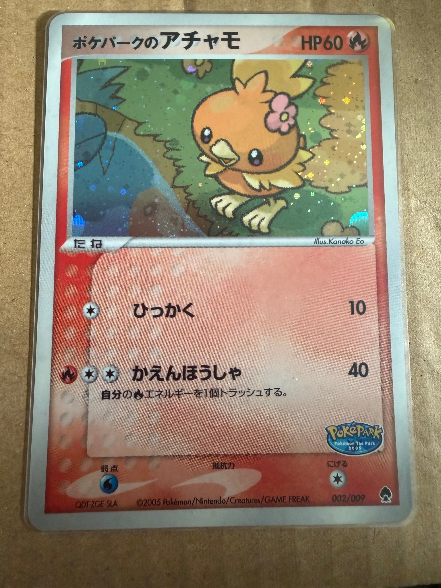 ポケパークのアチャモ [PCG 002/009](ポケパークプレミアムファイル