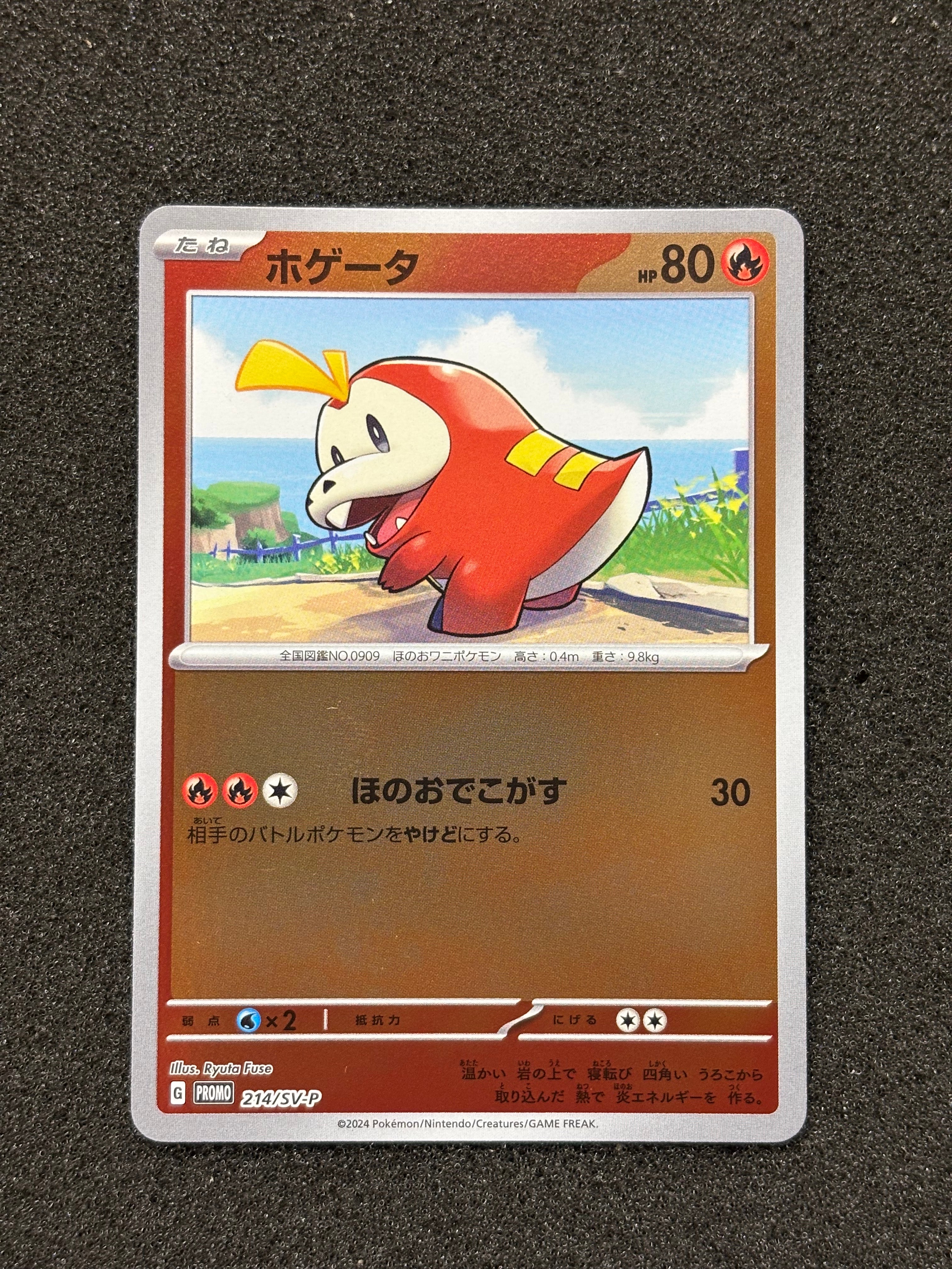 ホゲータ P [SV-P 214](プロモカードパック「ポケカの夏がキタ！プロモ