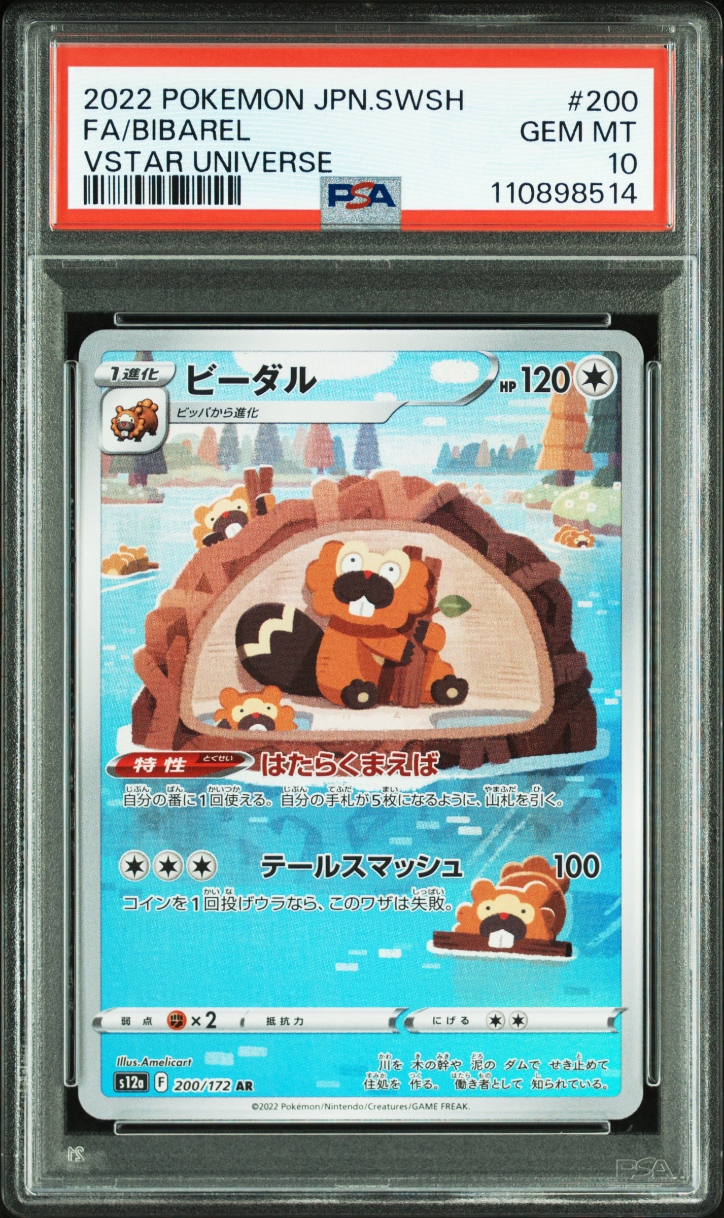 ビーダル AR[s12a 200/172](ハイクラスパック「VSTARユニバース」)