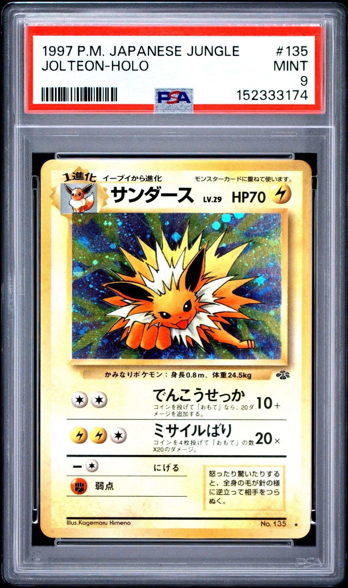 ポケモンカード　サンダース　デルタ種　キラ　引退品　dp bw 旧裏　xy サンダース R: 旧裏 [PMCG2 No.135](拡張パック「ポケモンジャングル