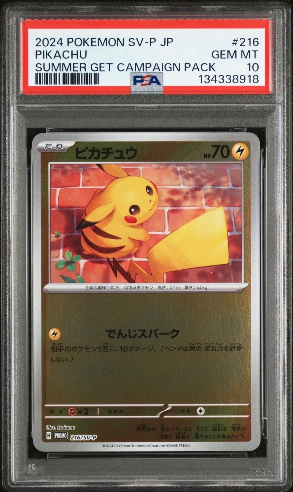 ピカチュウ P [SV-P 216](プロモカードパック「ポケカの夏がキタ!プロモカードGetキャンペーン!」)
