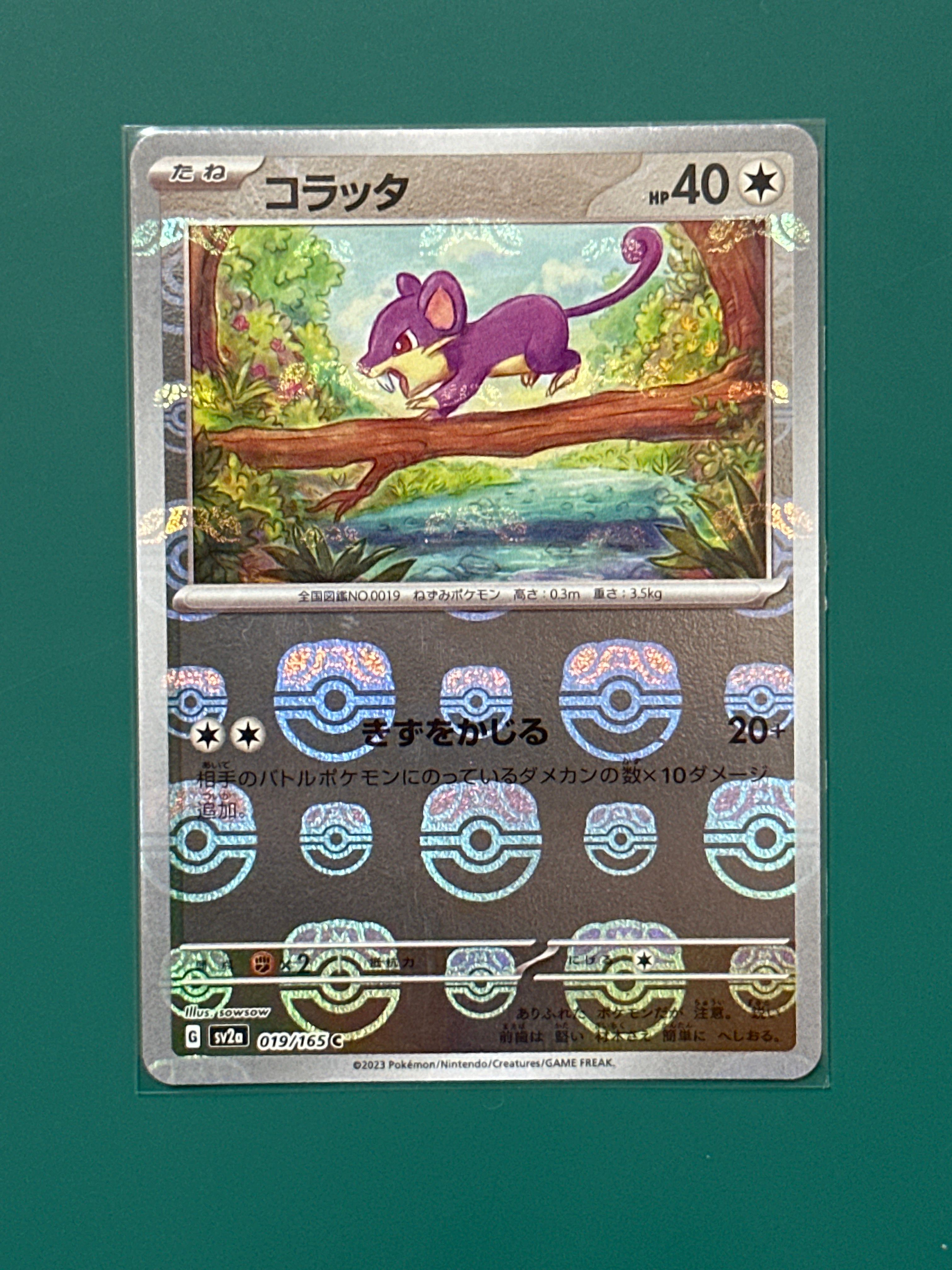 コラッタ C: マスターボールミラー[SV2a 019/165](強化拡張パック「ポケモンカード151」)
