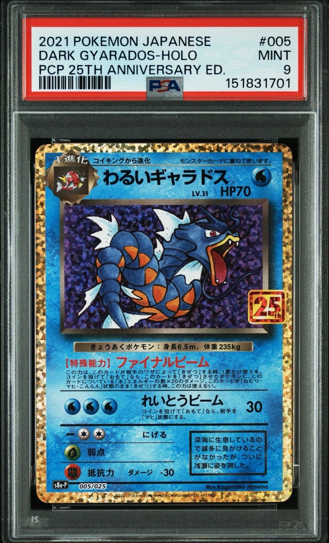 わるいギャラドス: プロモ[S8a-P 005/025](プロモカードパック 25th ANNIVERSARY edition)