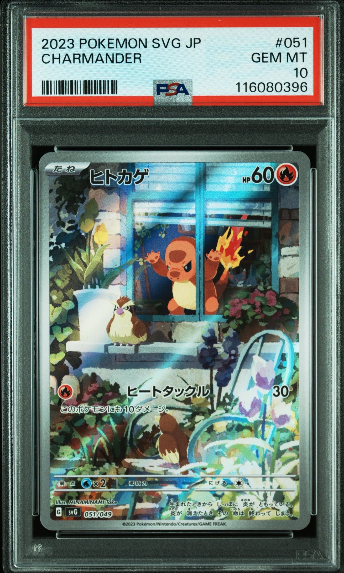 ヒトカゲ :フルイラスト [SVG 051/049](スペシャルデッキセットex「フシギバナ・リザードン・カメックス」)