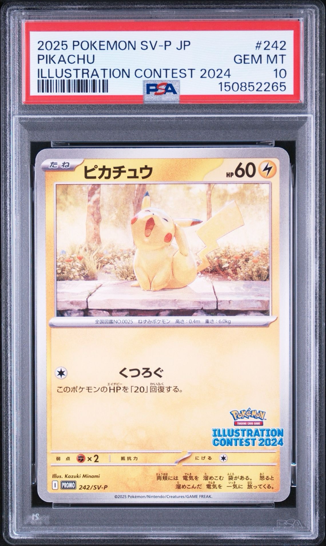 ピカチュウ [SV-P 242](プロモカードパック「イラストレーション