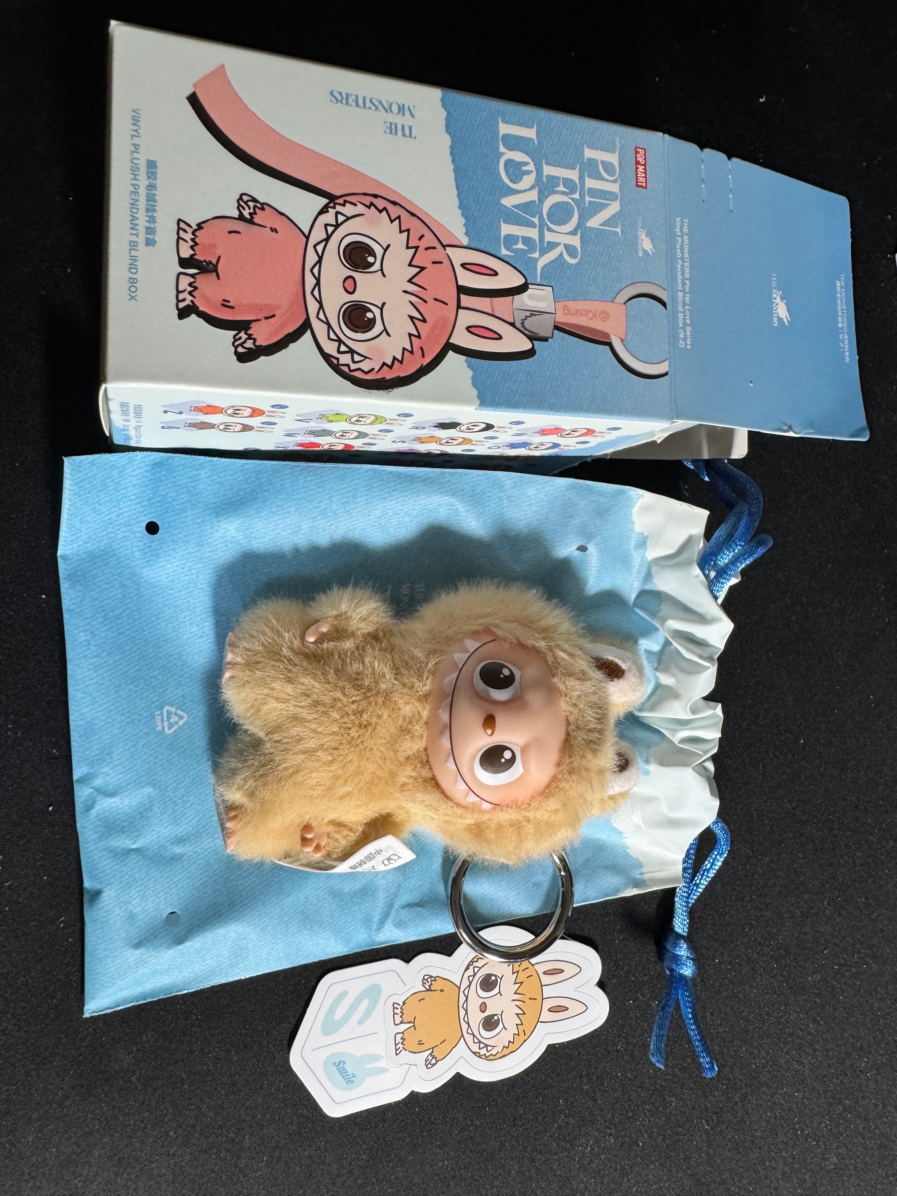 POP MART THE MONSTERS (LABUBU) Pin for Love Series-Vinyl Plush Pendant (N-Z) S